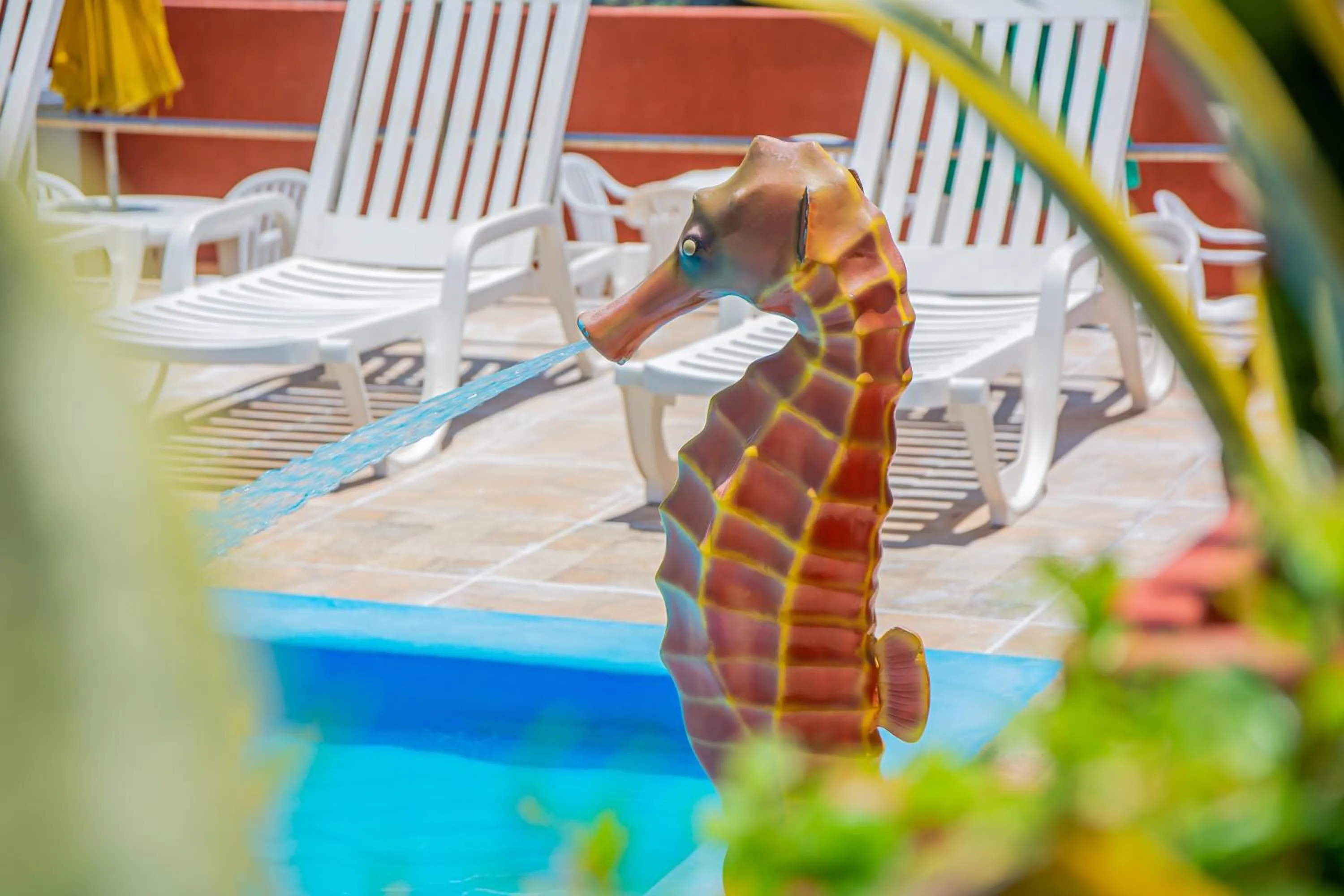 Swimming pool in Brisa do Mar Beach Hotel