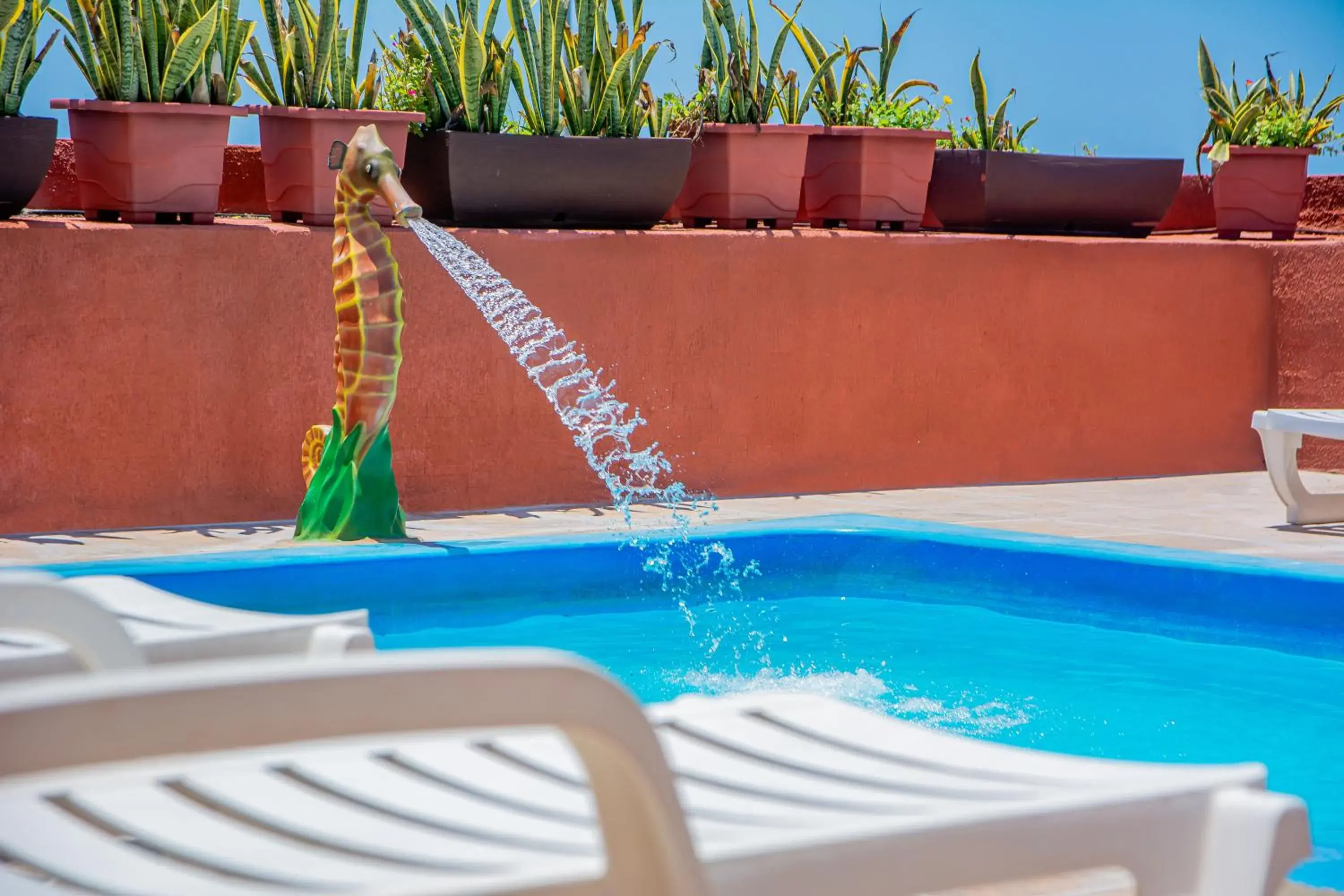 Swimming pool in Brisa do Mar Beach Hotel Swimming pool in Brisa do Mar Beach Hotel