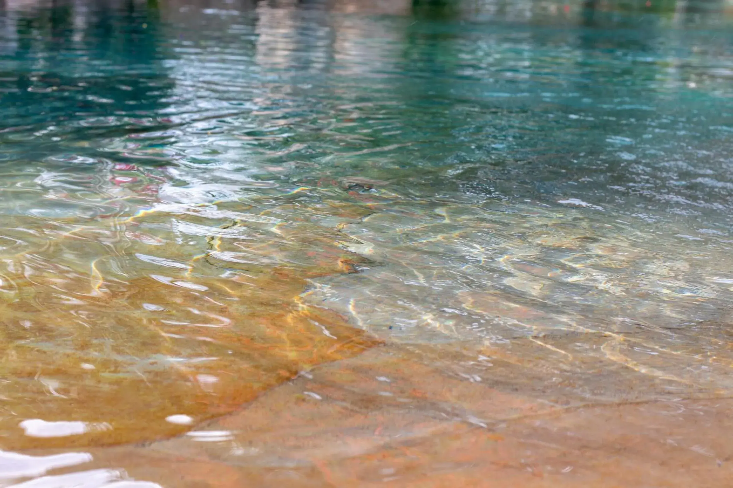 Swimming pool in Latica Lodge Swimming pool in Latica Lodge