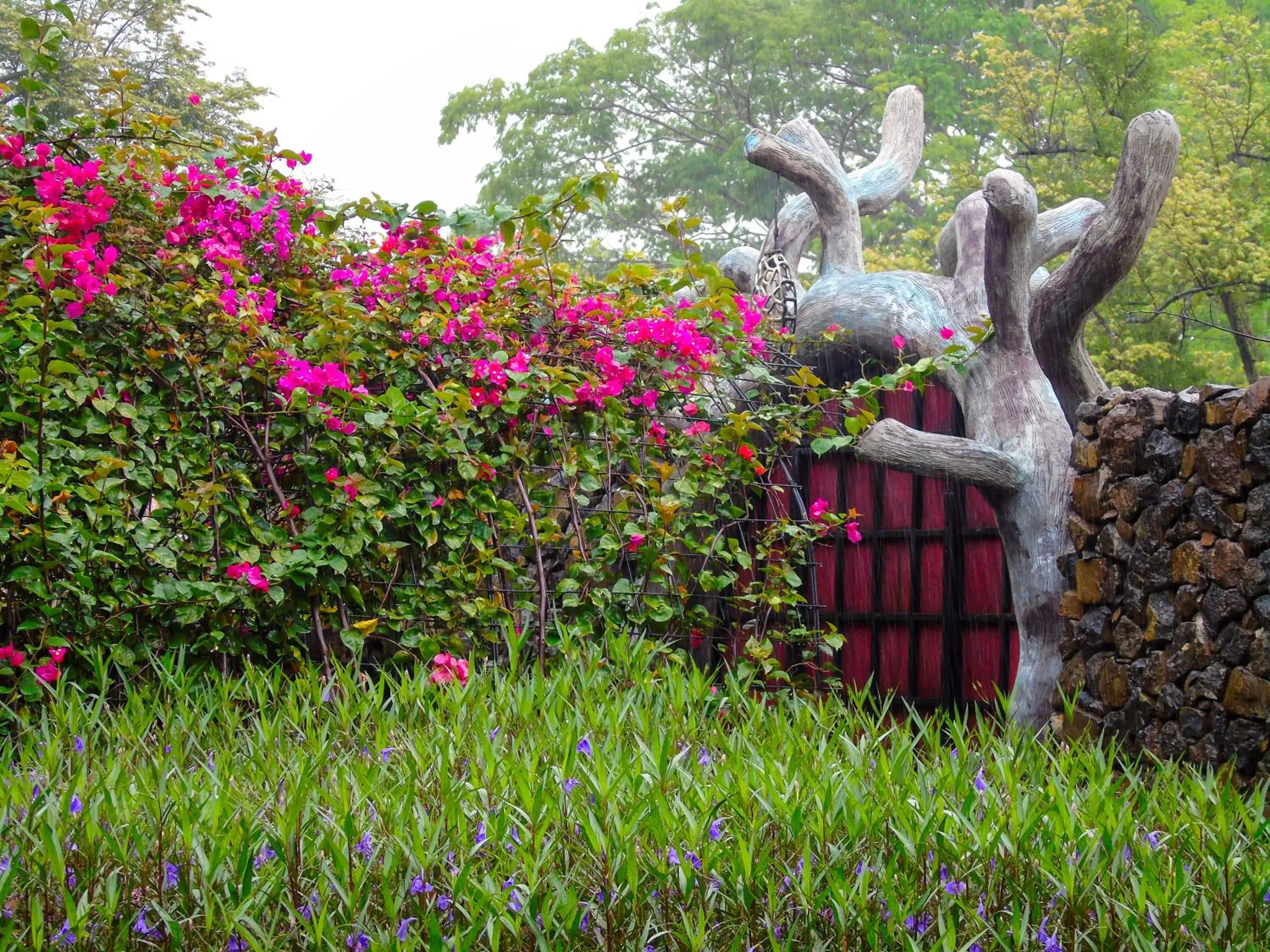 Garden in Latica Lodge