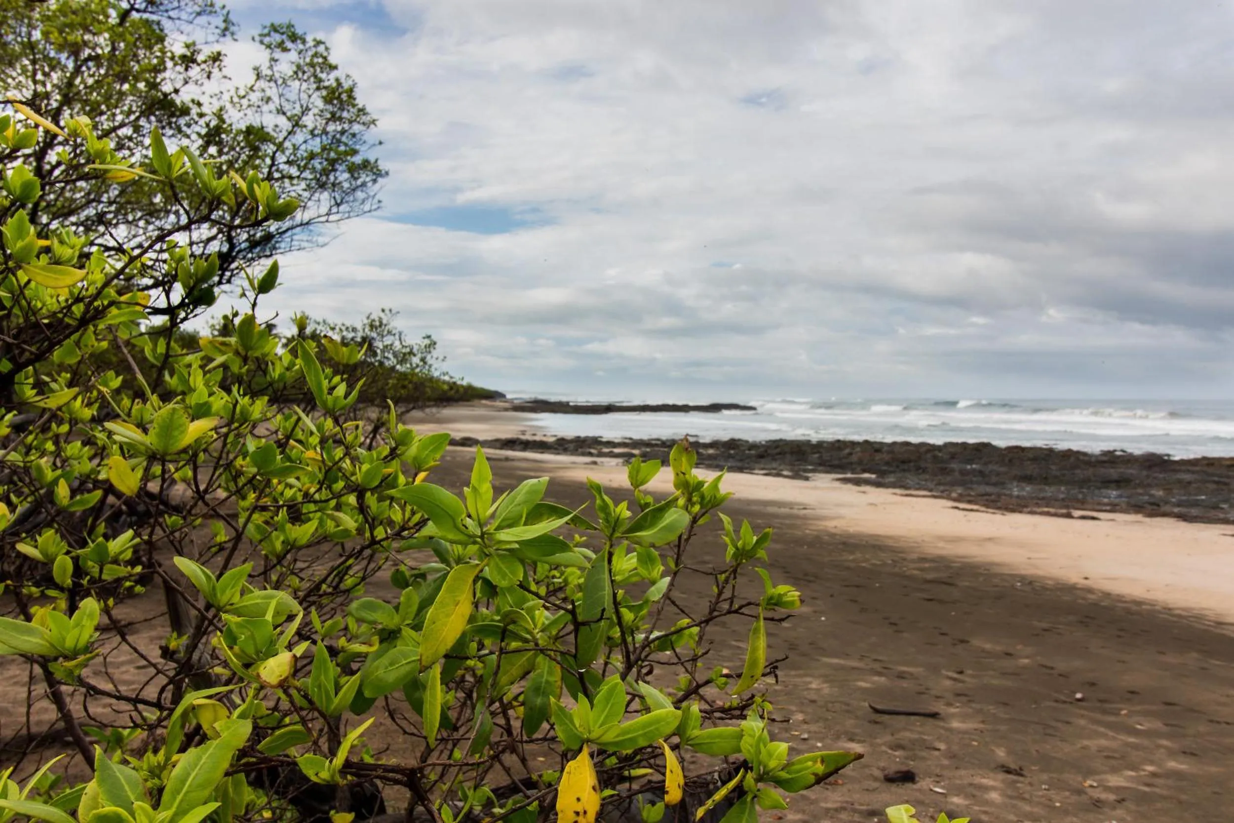 Beach in Latica Lodge