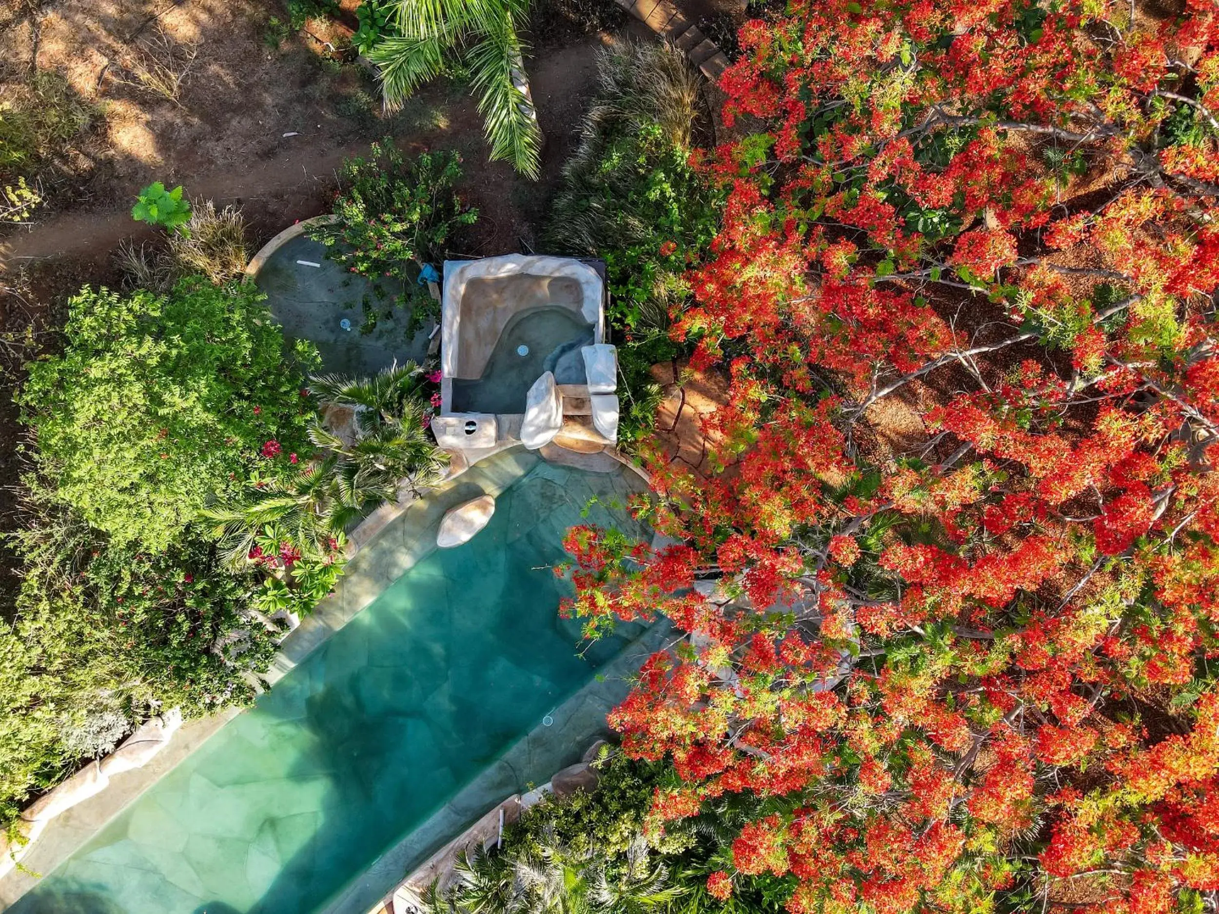 Bird's eye view in Latica Lodge Bird's eye view in Latica Lodge