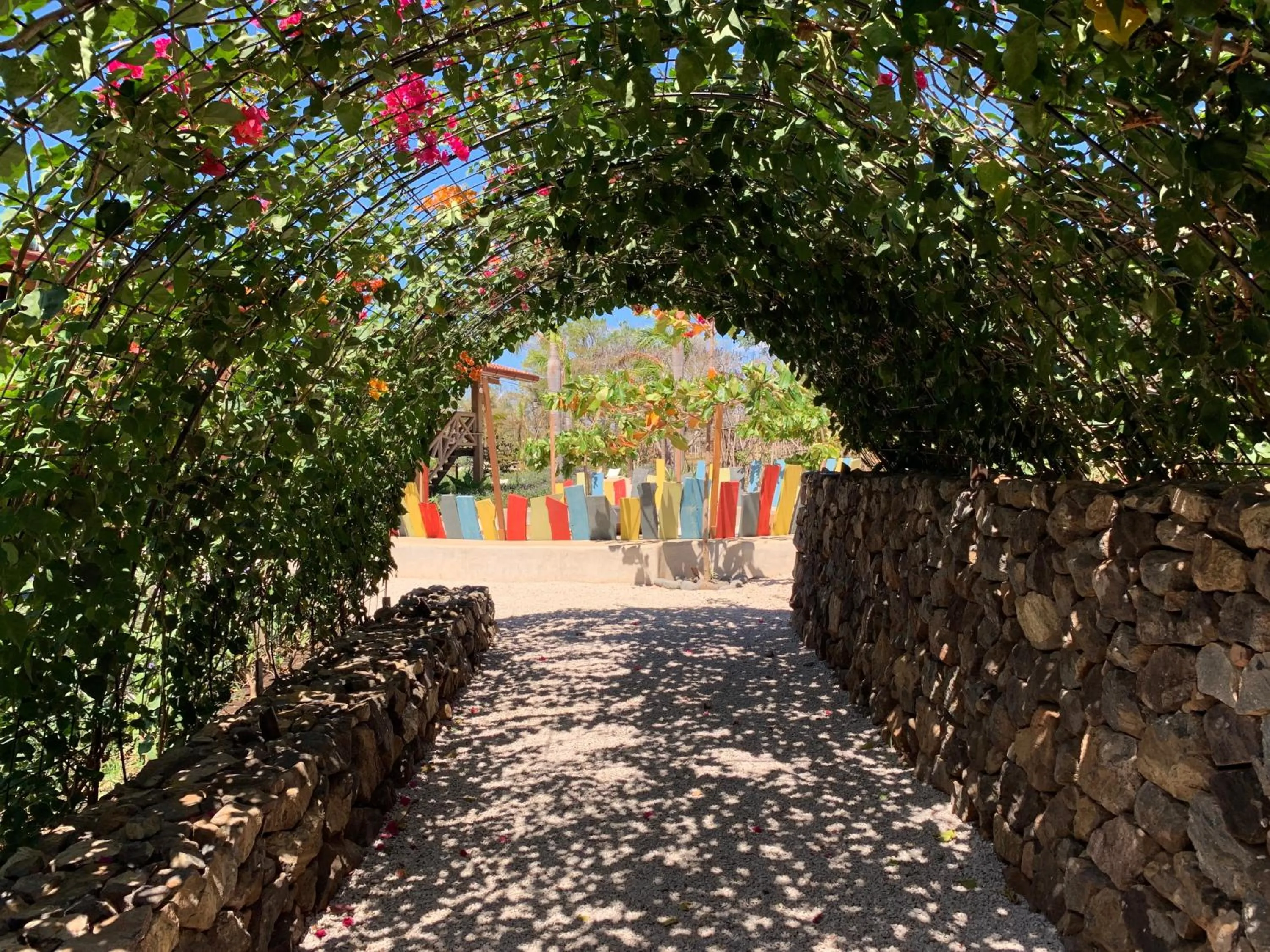 Garden in Latica Lodge