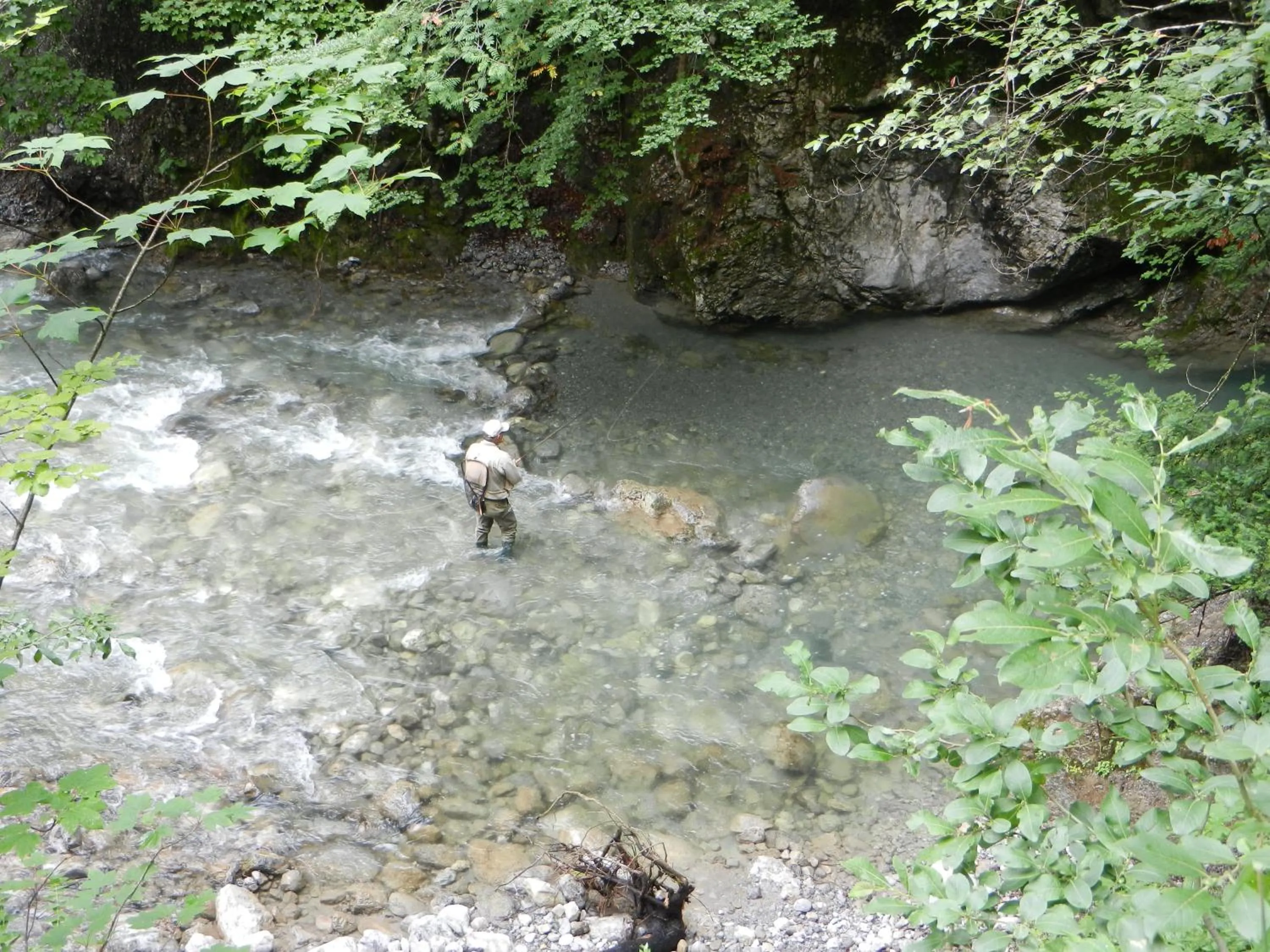 Natural landscape in Hotel Gasthof KREUZ