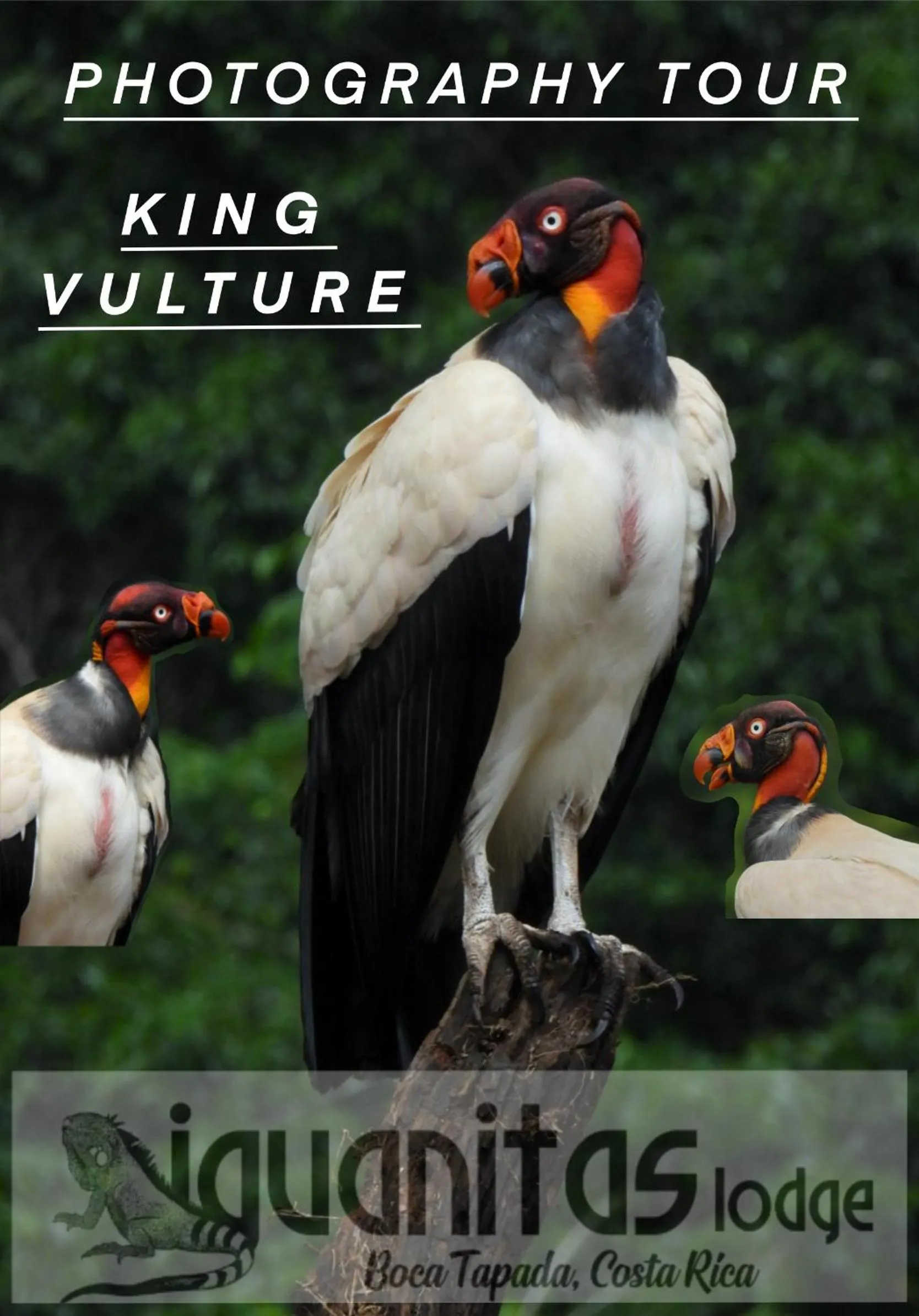 Activities in Iguanitas Lodge