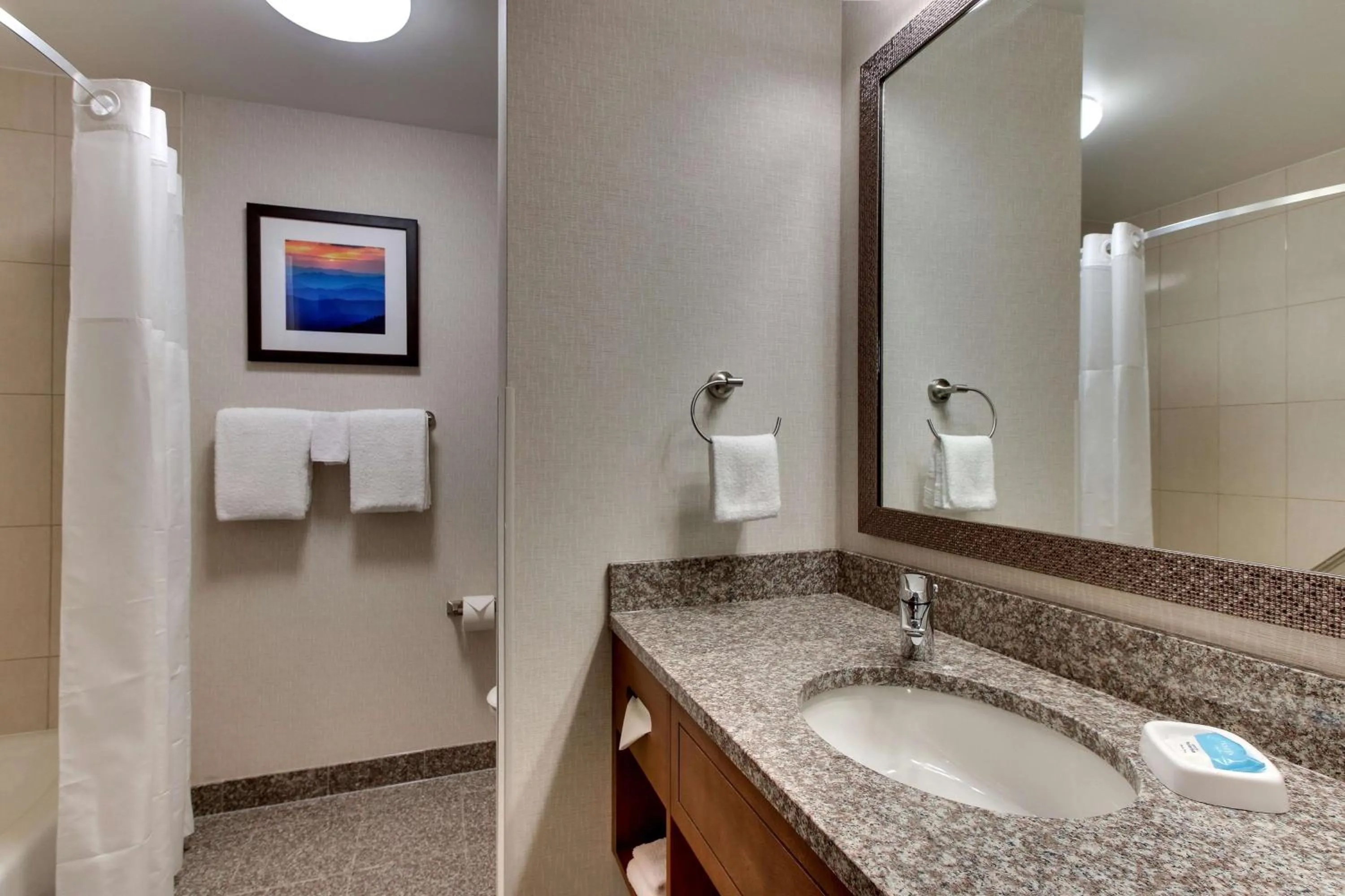 Deluxe King Room - Hearing Accessible, Shower in Drury Inn & Suites Knoxville West