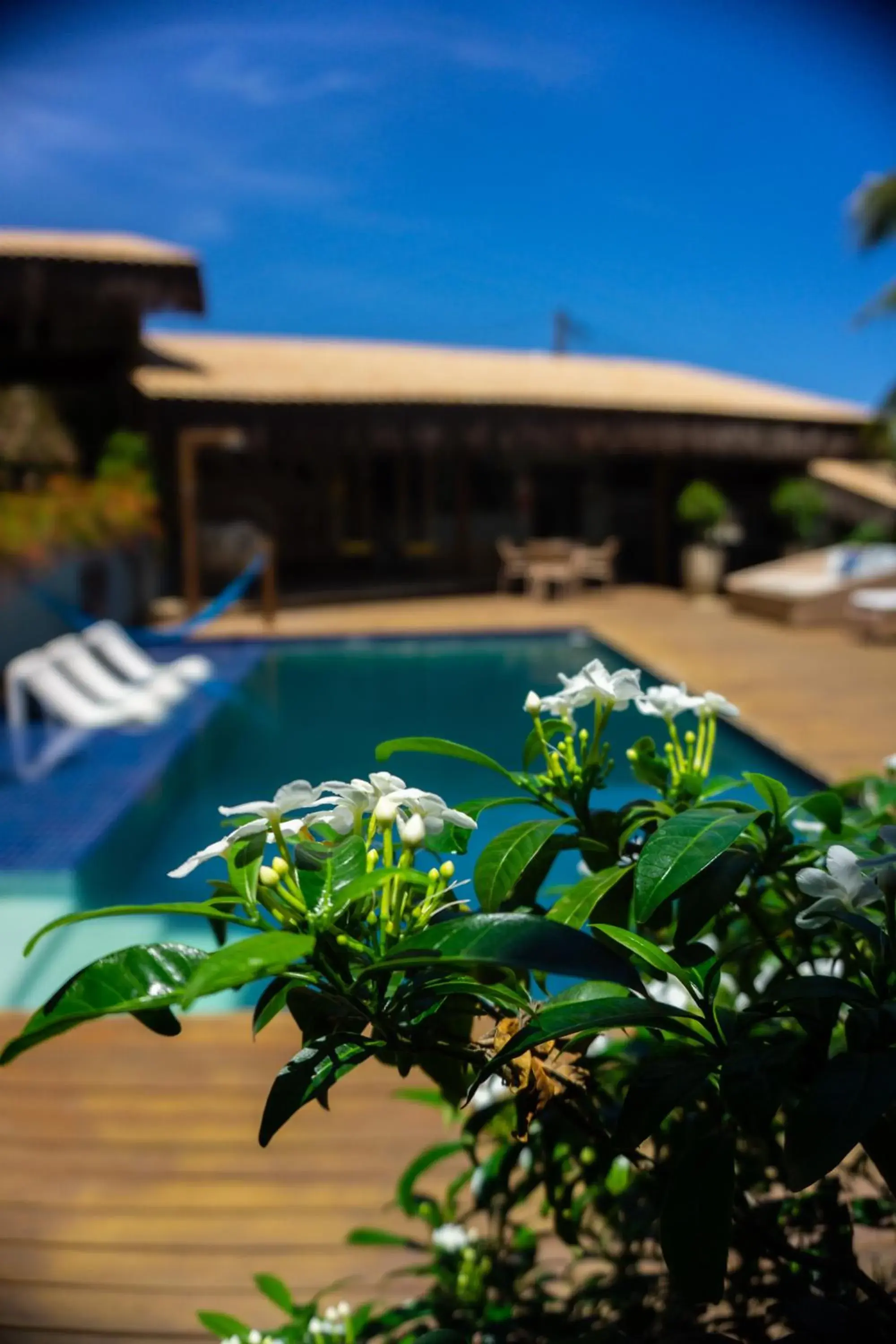 Swimming pool in Xamã Senses - Hotel Pousada Swimming pool in Xamã Senses - Hotel Pousada