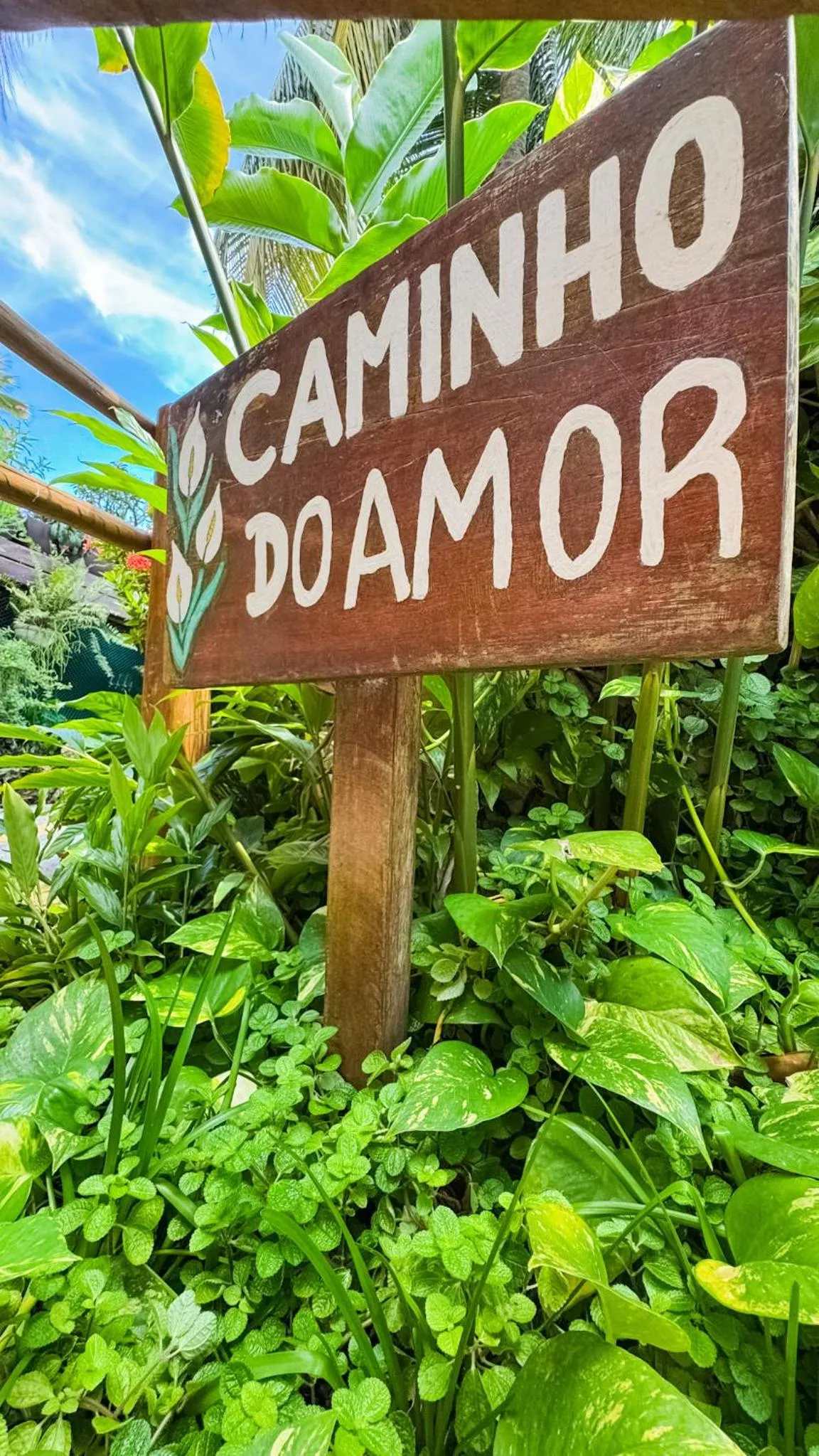 Garden in Xamã Senses - Hotel Pousada