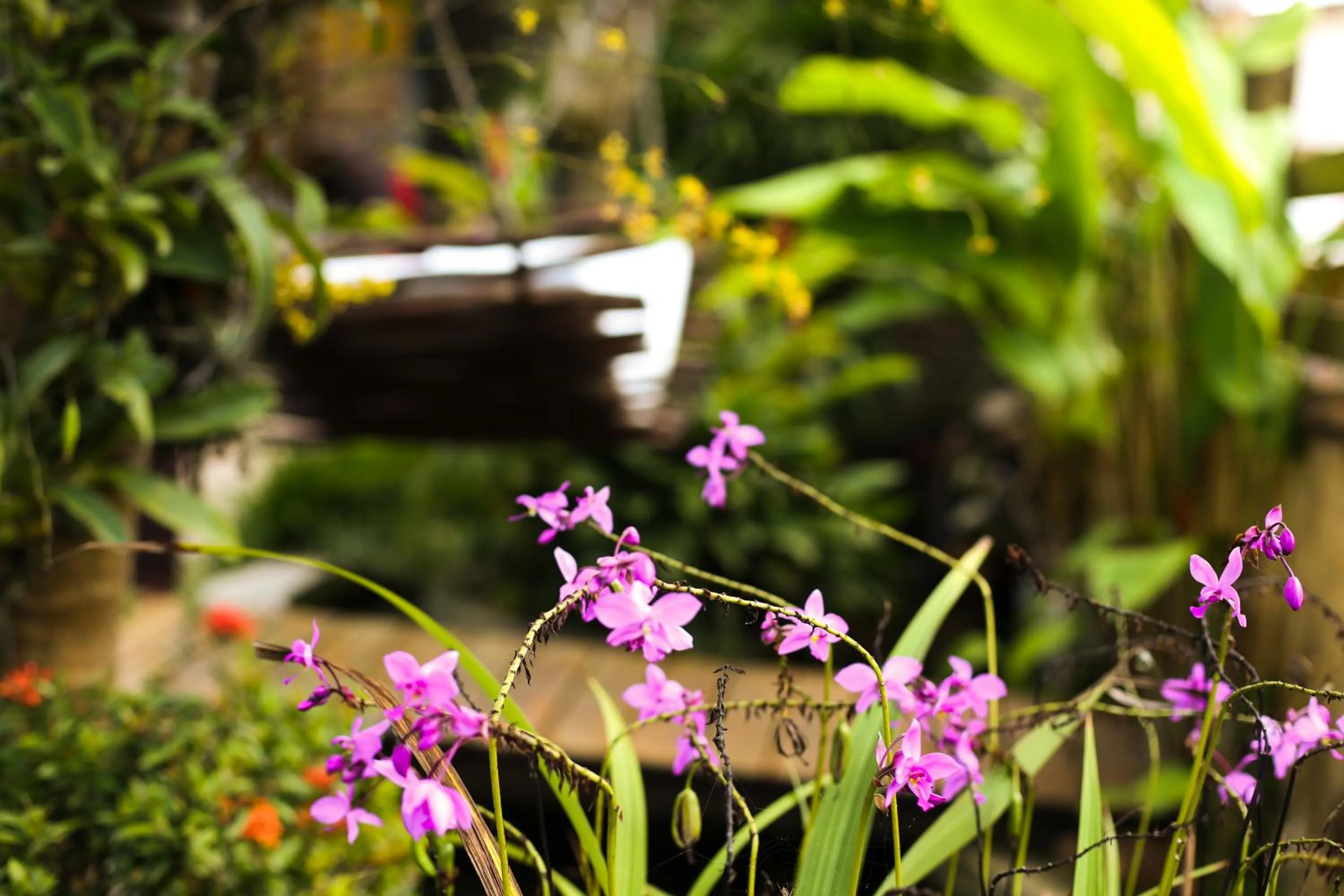 Garden in Xamã Senses - Hotel Pousada