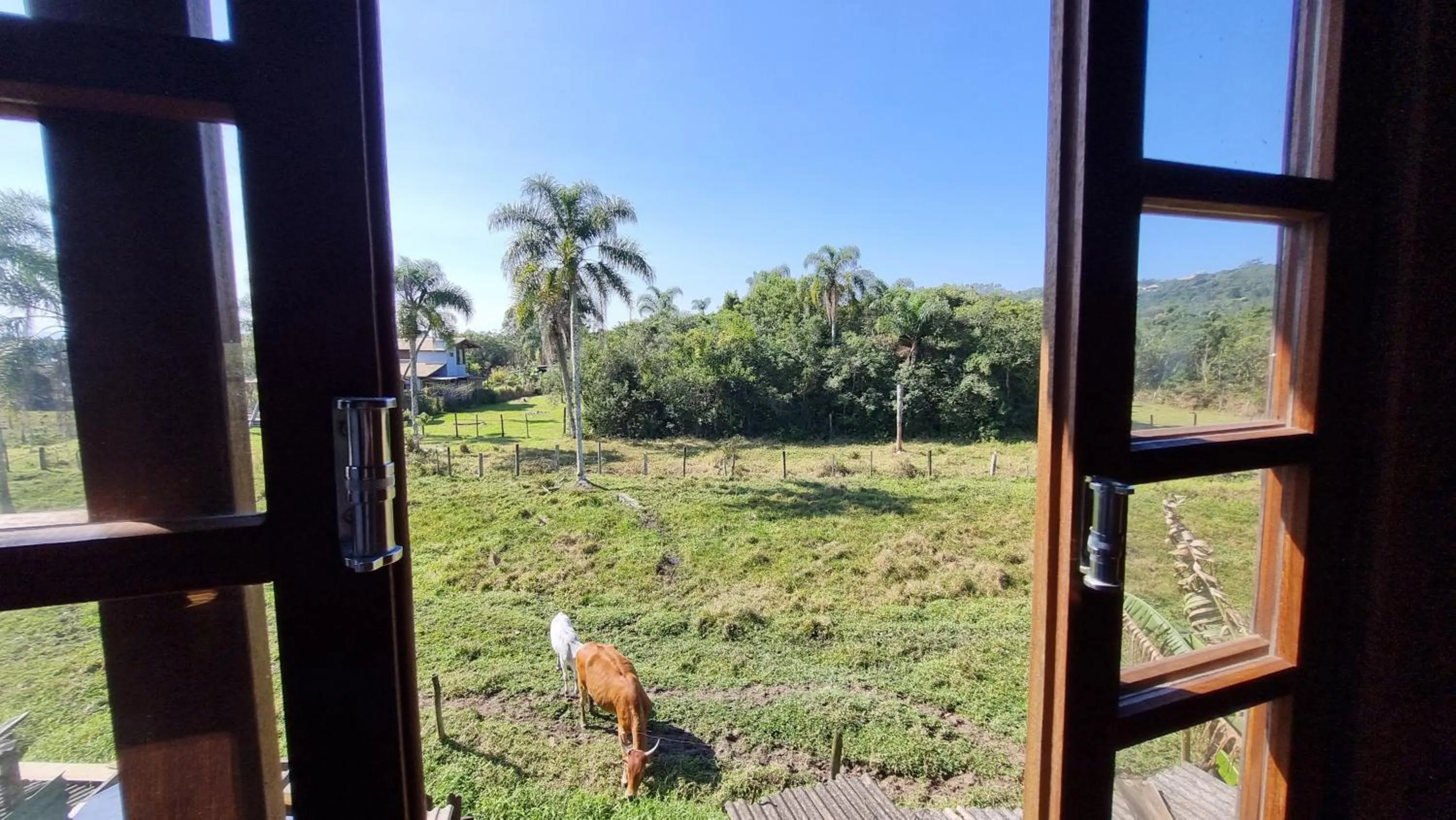 Natural landscape in Arte da Tribo Hostel & Camping