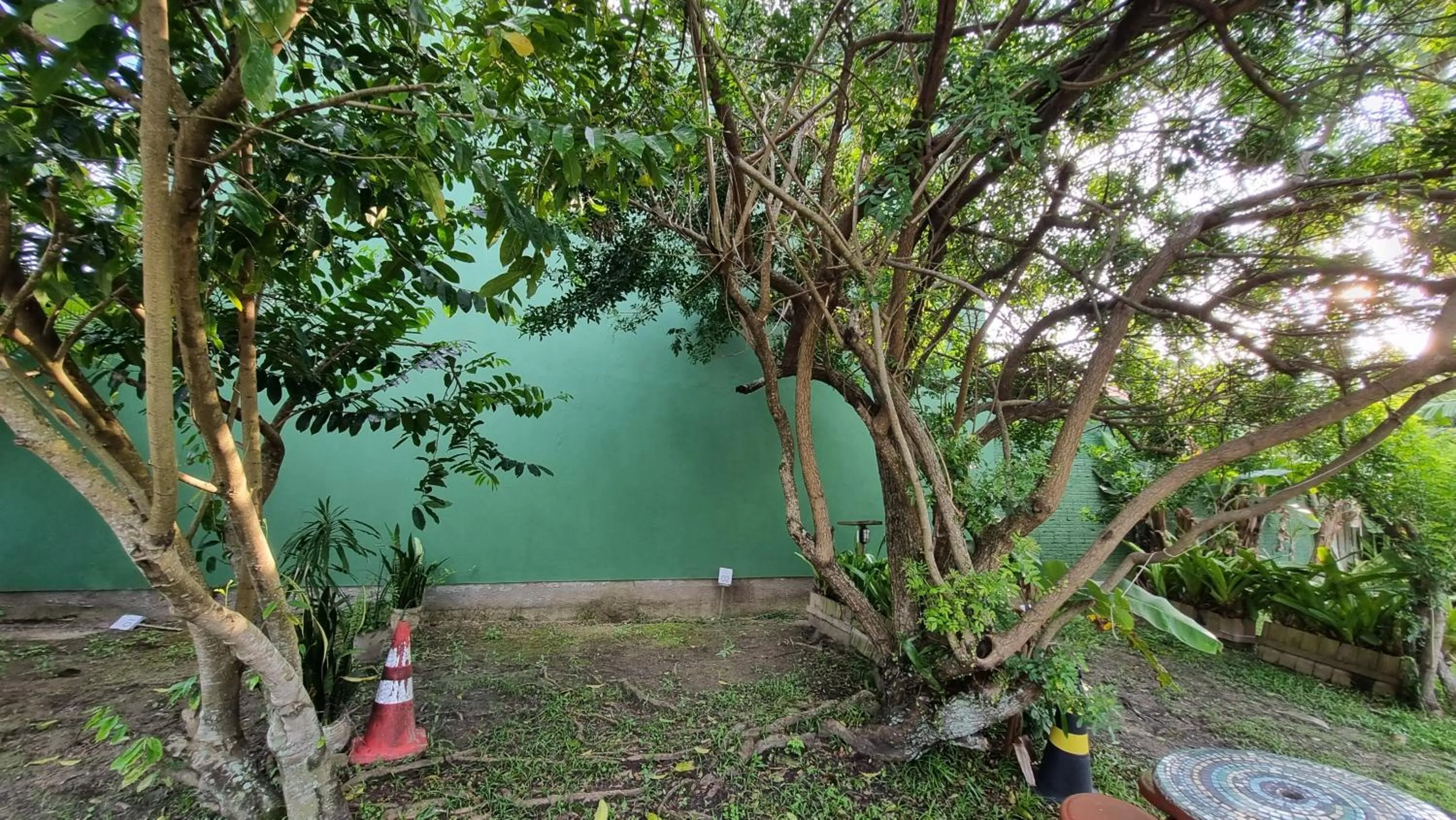 Garden in Arte da Tribo Hostel & Camping