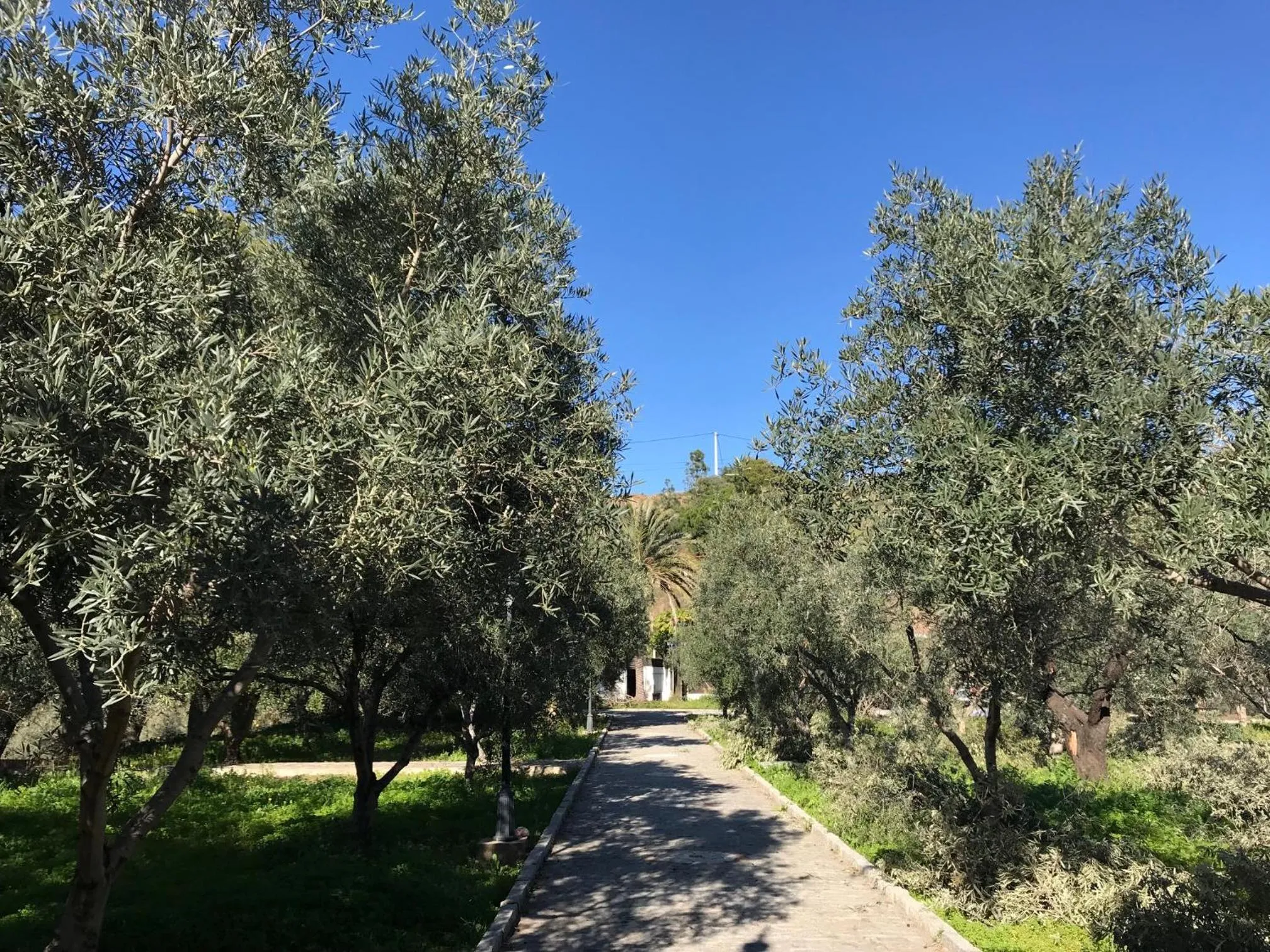 Natural landscape in Alojamiento con Encanto en Málaga