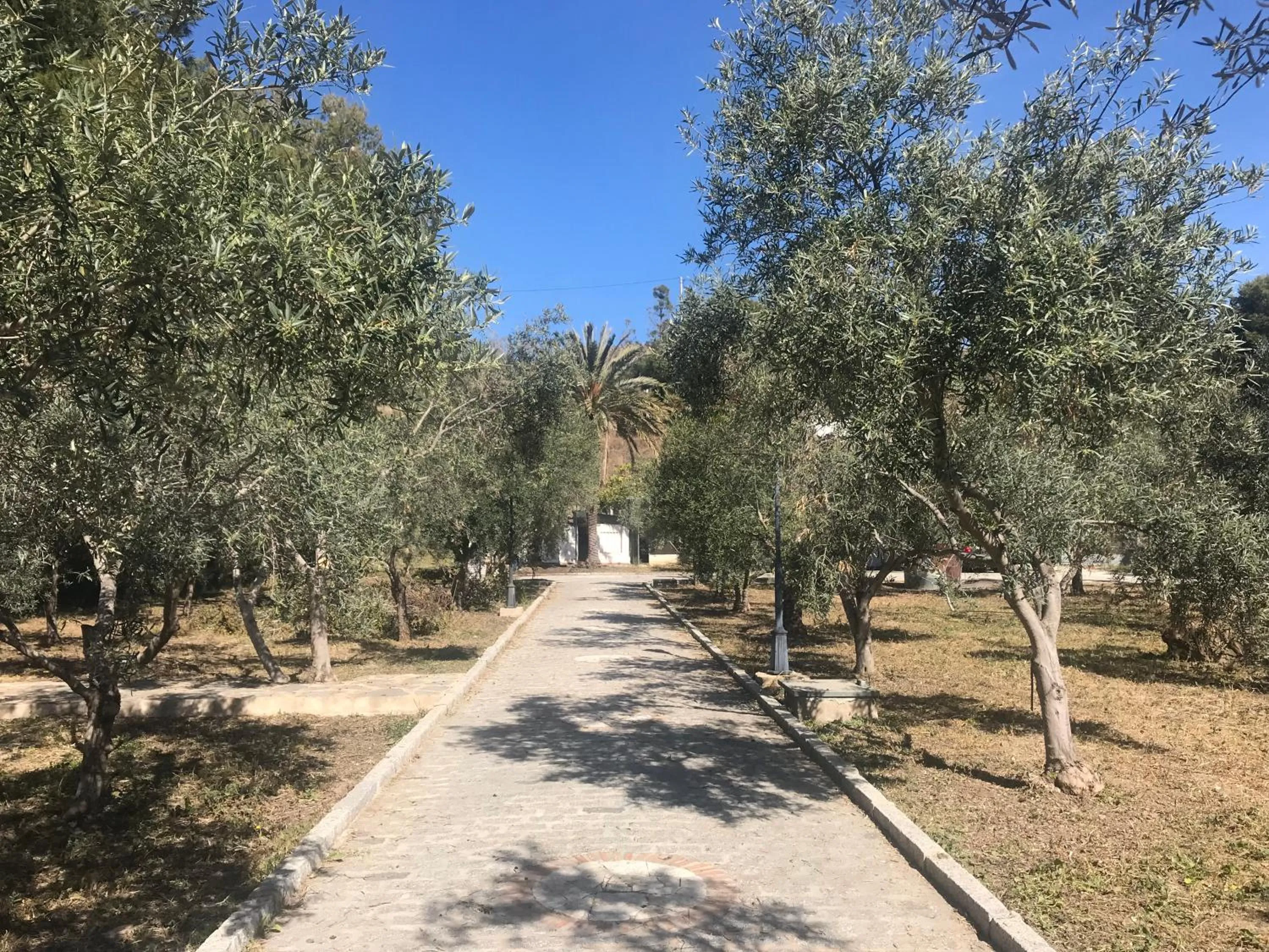 Natural landscape in Alojamiento con Encanto en Málaga