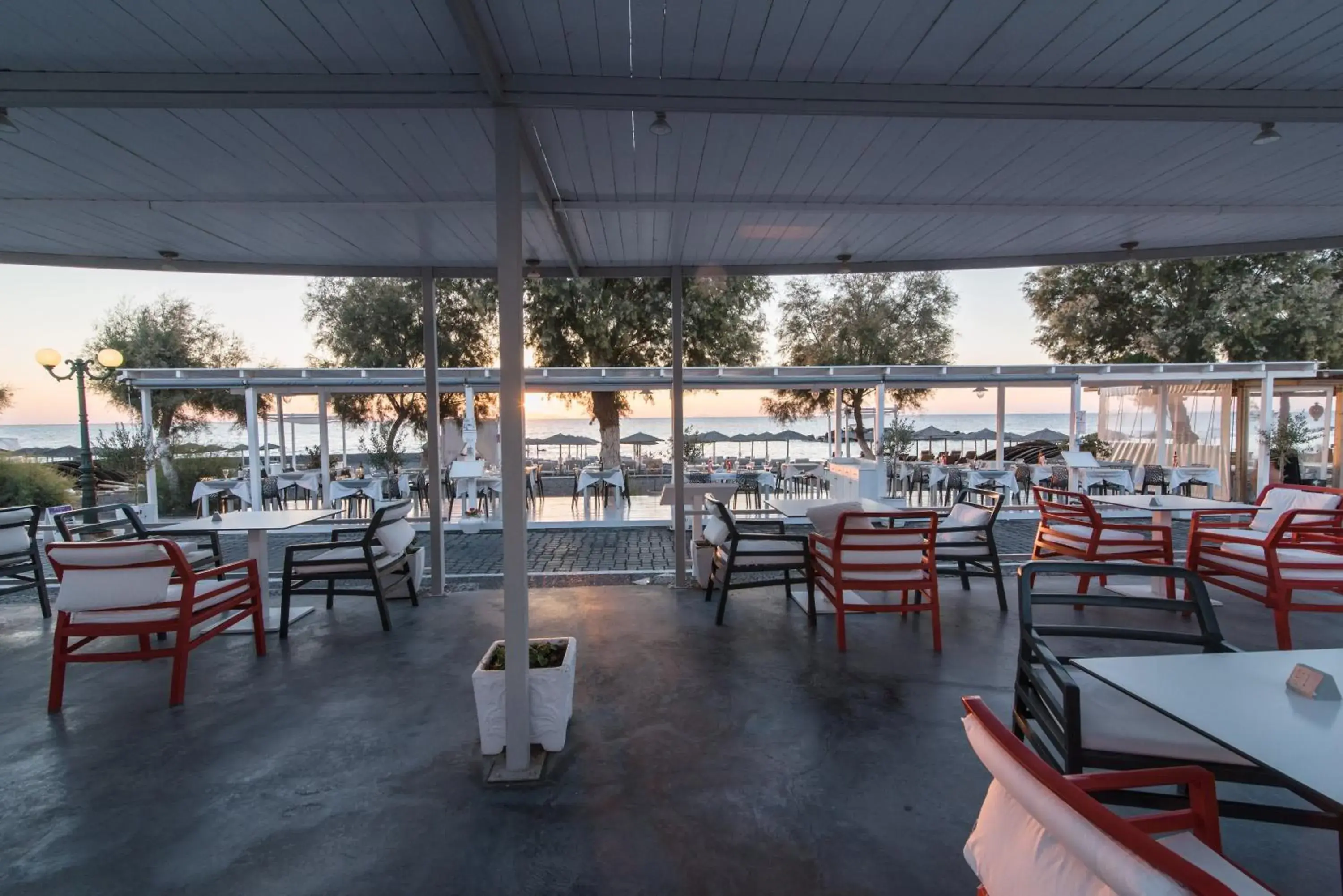 Food and drinks in Beach Boutique Hotel Food and drinks in Beach Boutique Hotel