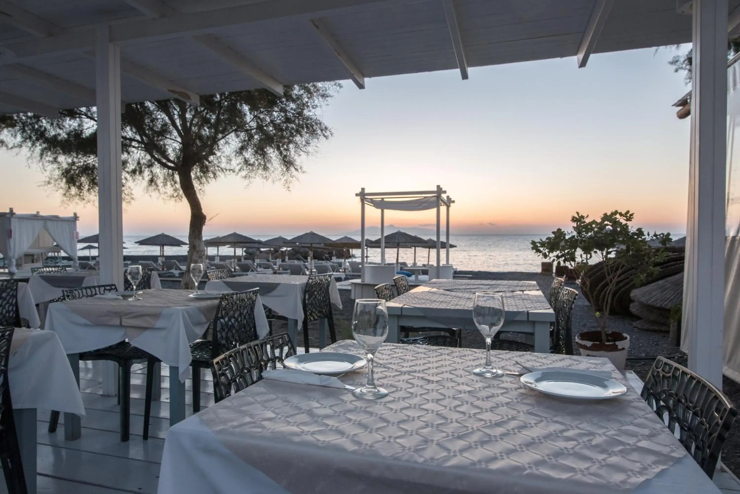 Food and drinks in Beach Boutique Hotel Food and drinks in Beach Boutique Hotel