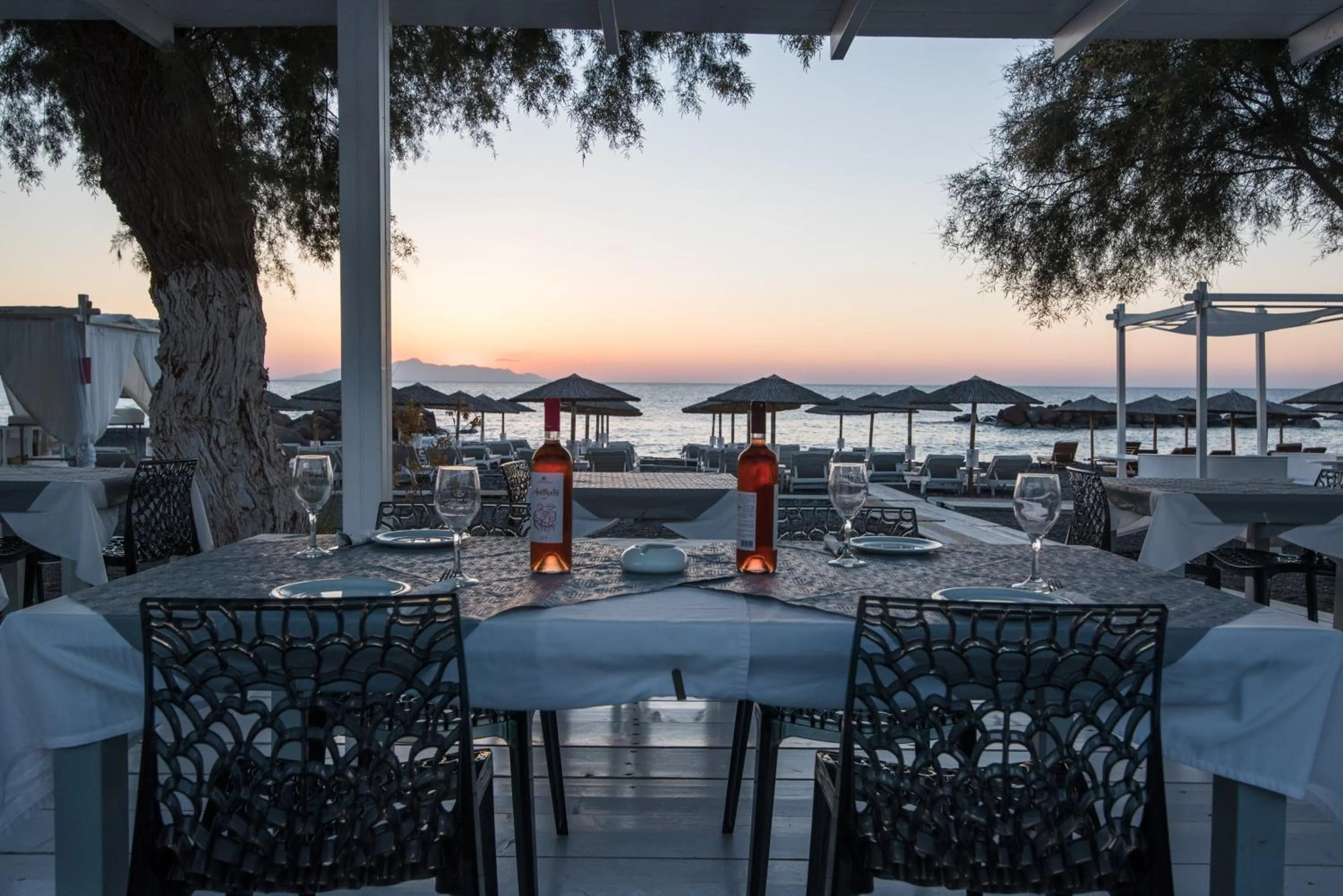 Food and drinks in Beach Boutique Hotel