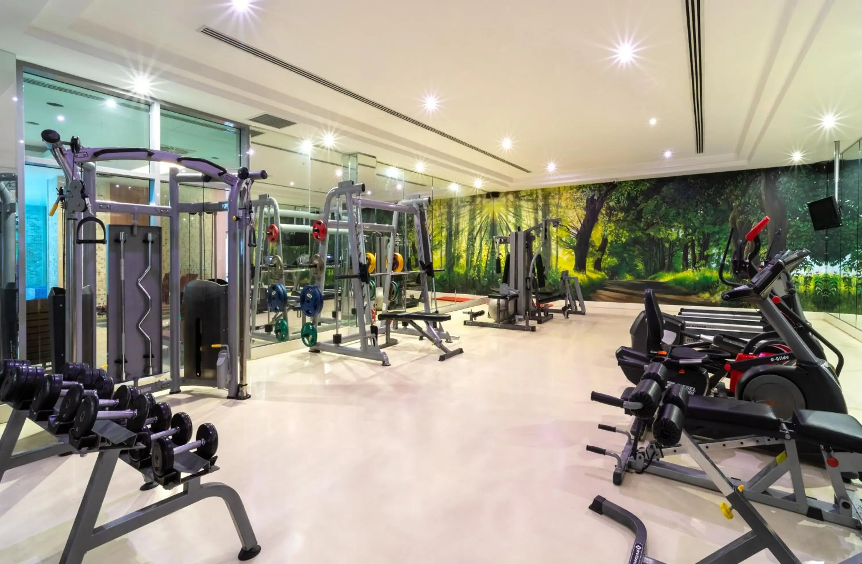 Fitness centre/facilities in Ramada Plaza by Wyndham Istanbul Atakoy Fitness centre/facilities in Ramada Plaza by Wyndham Istanbul Atakoy