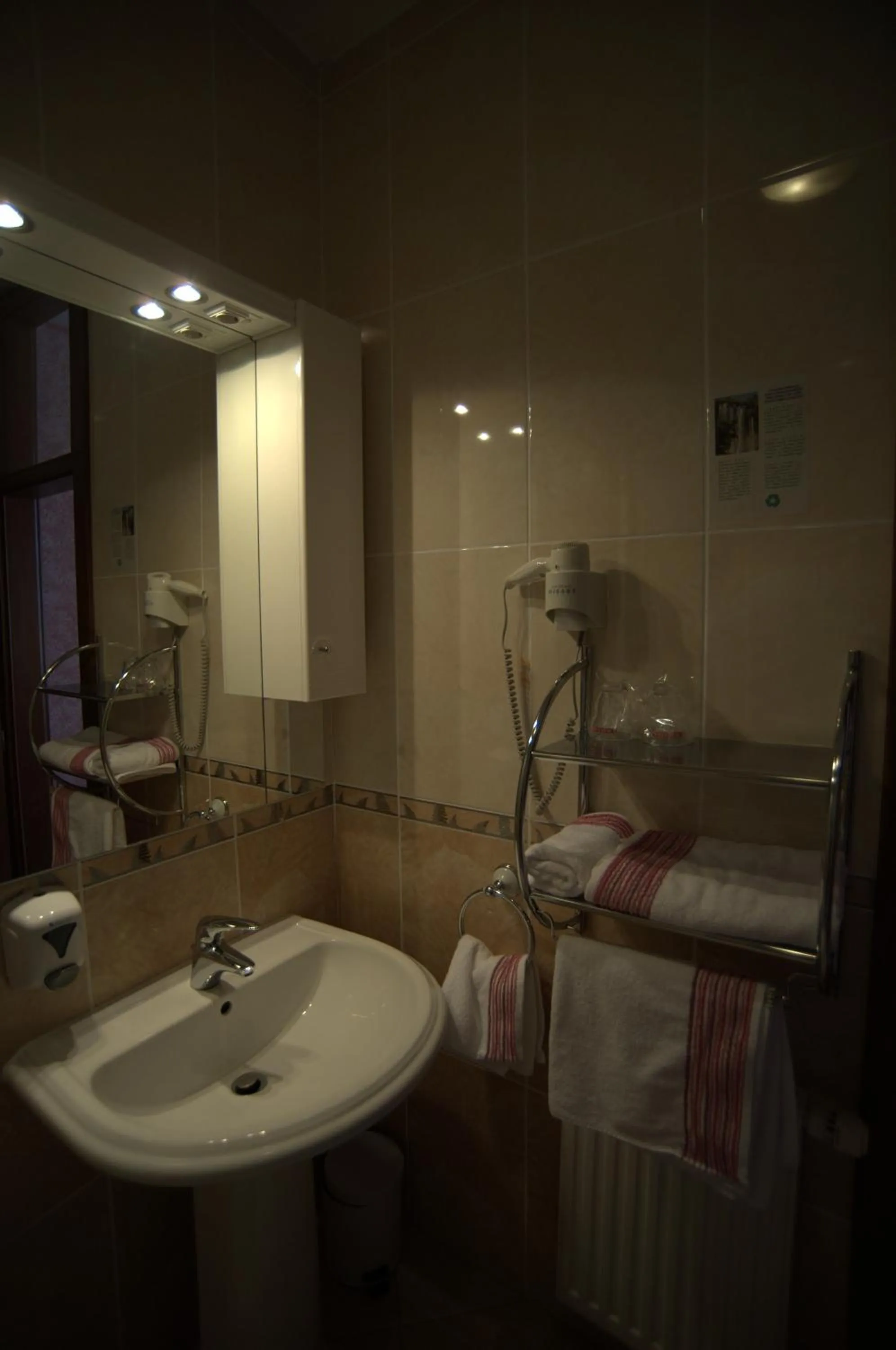 Bathroom in Hotel Đakovo