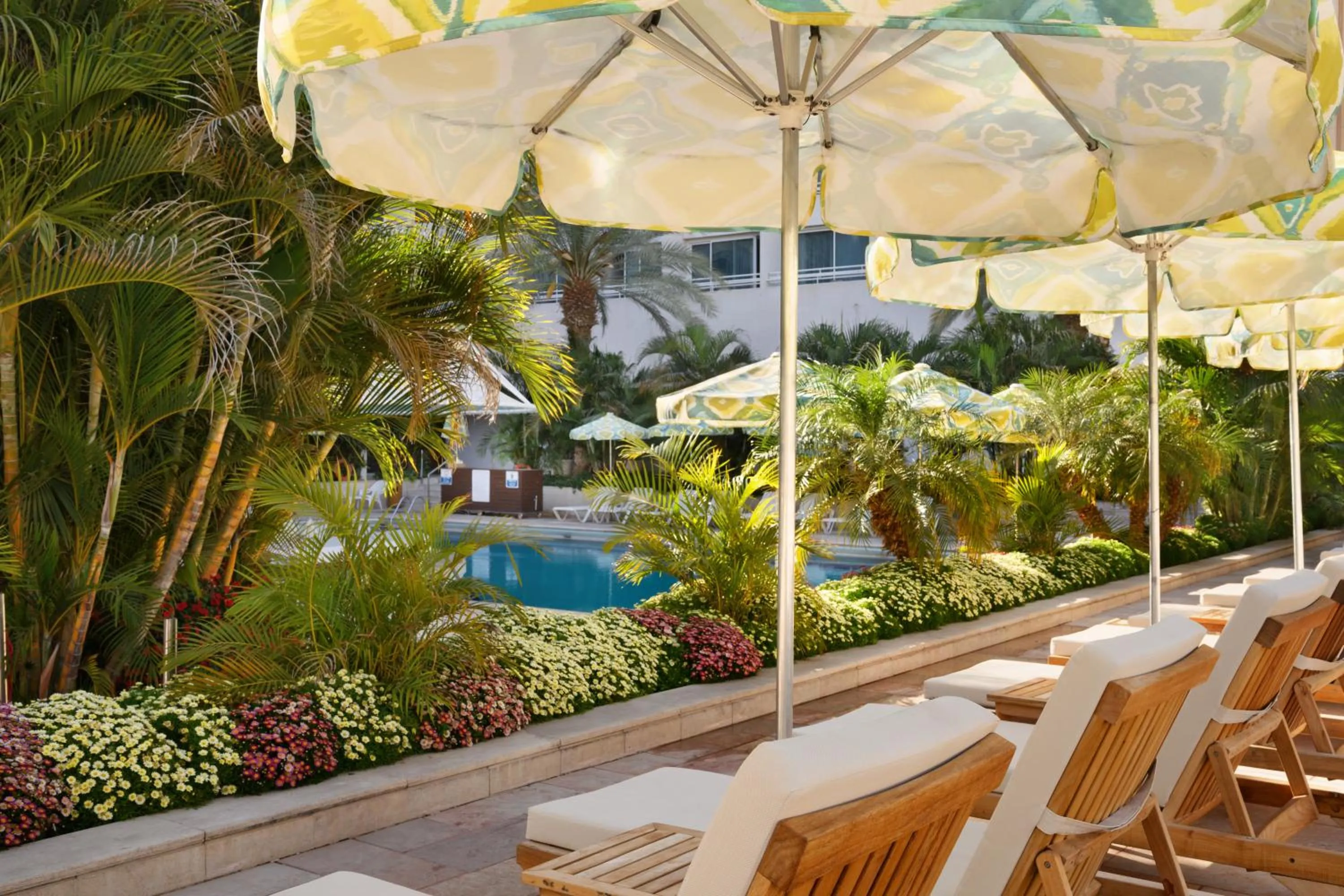 Swimming pool in Lagoona by Isrotel Collection