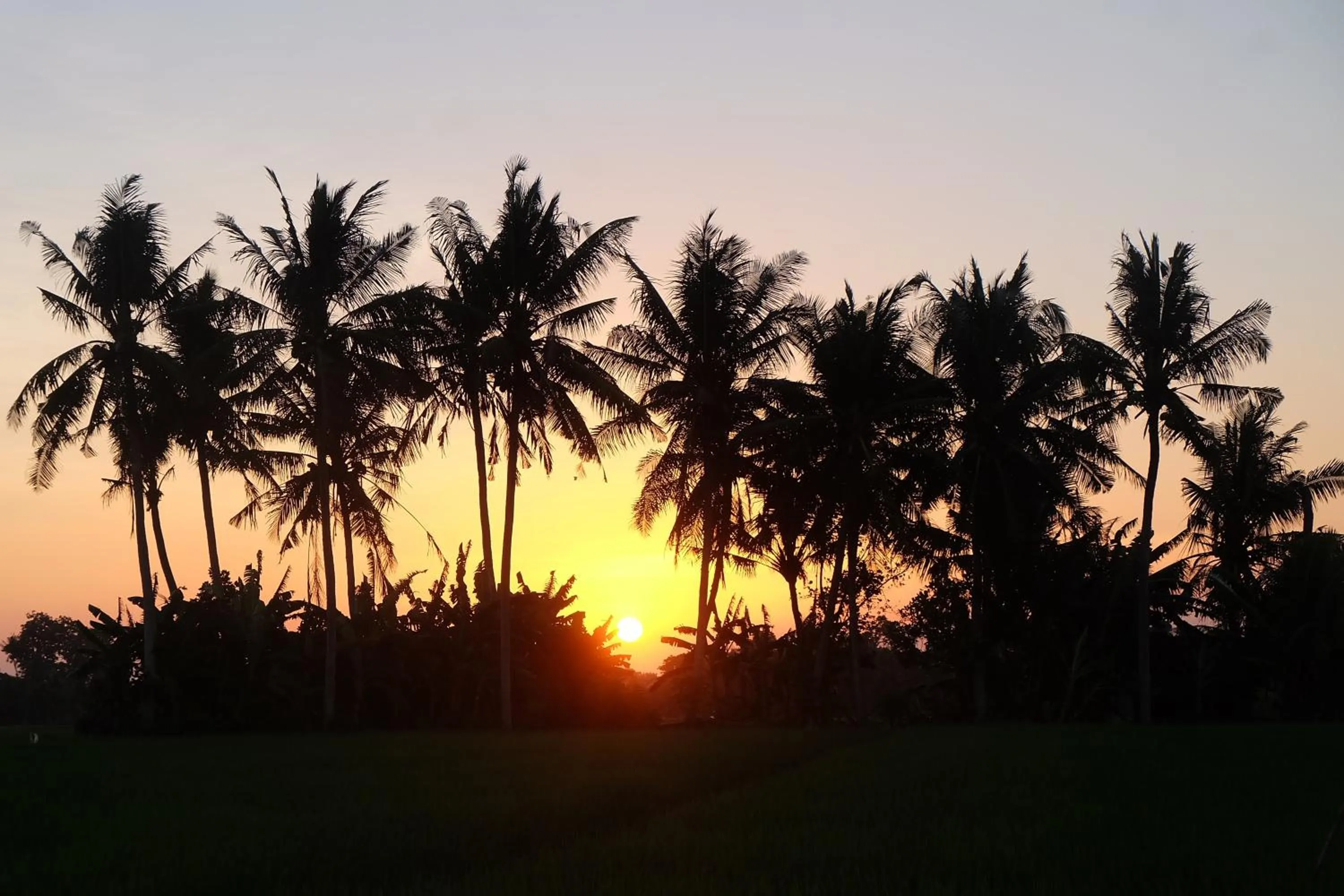 Villa Pilou Boutique Hotel