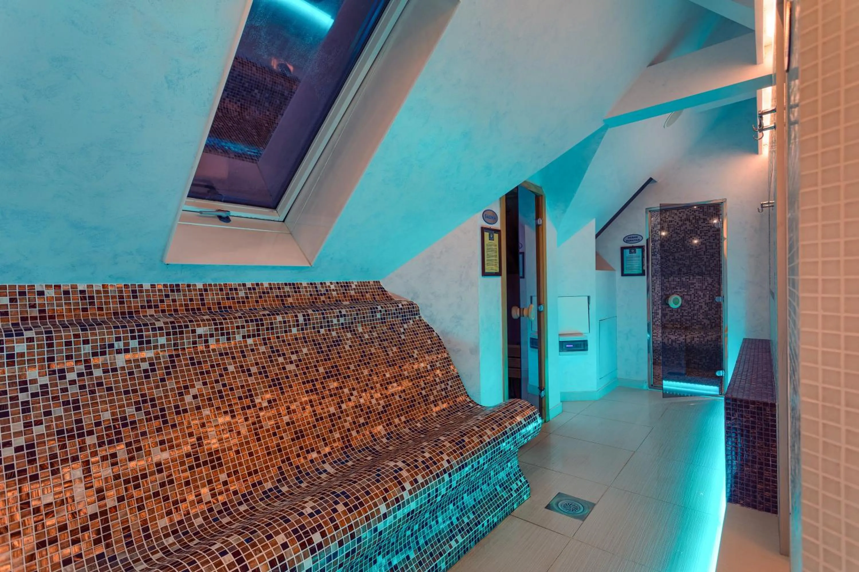 Spa and wellness centre/facilities in Vila Barović and Spa