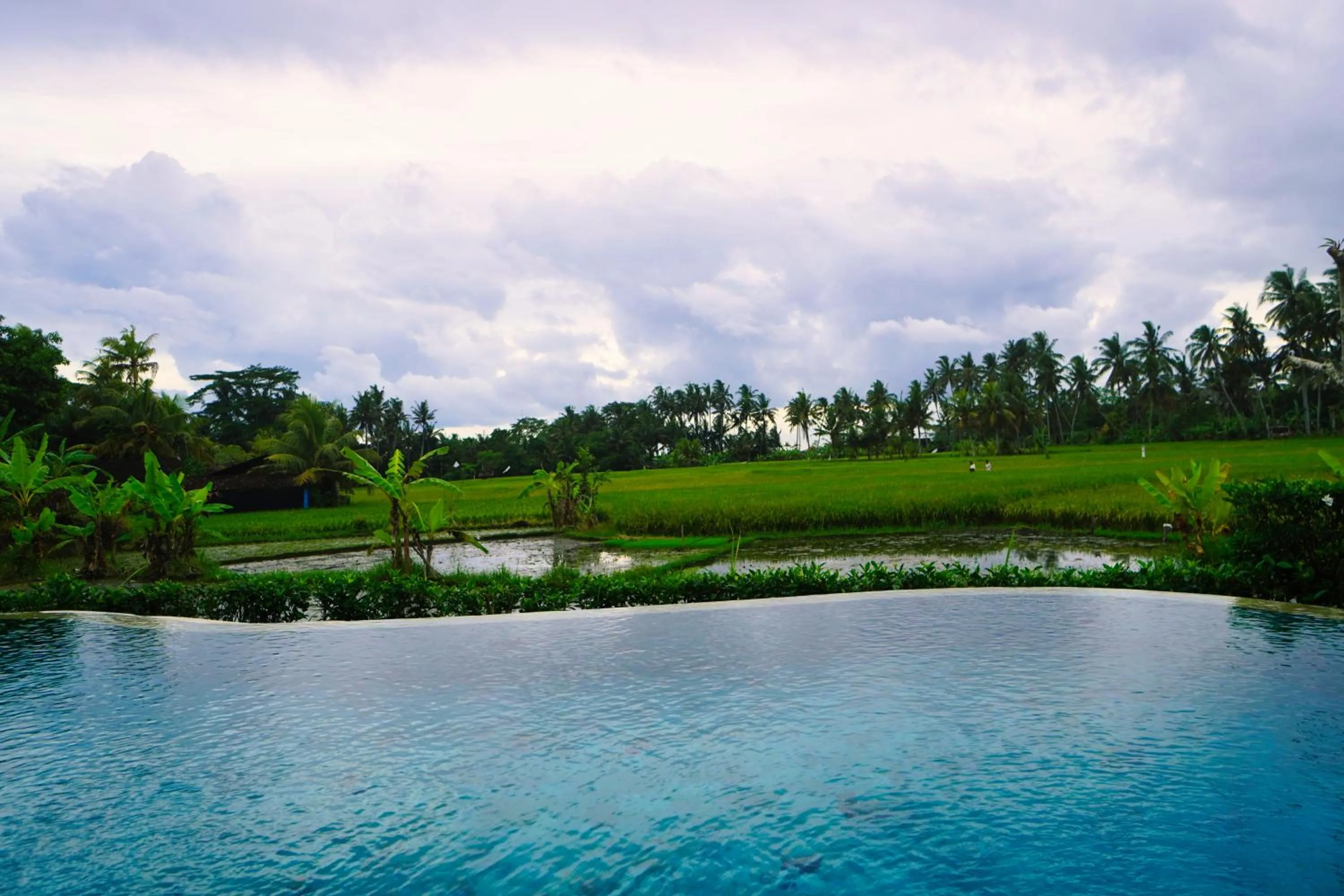 Natural landscape in Adil Villa & Resort