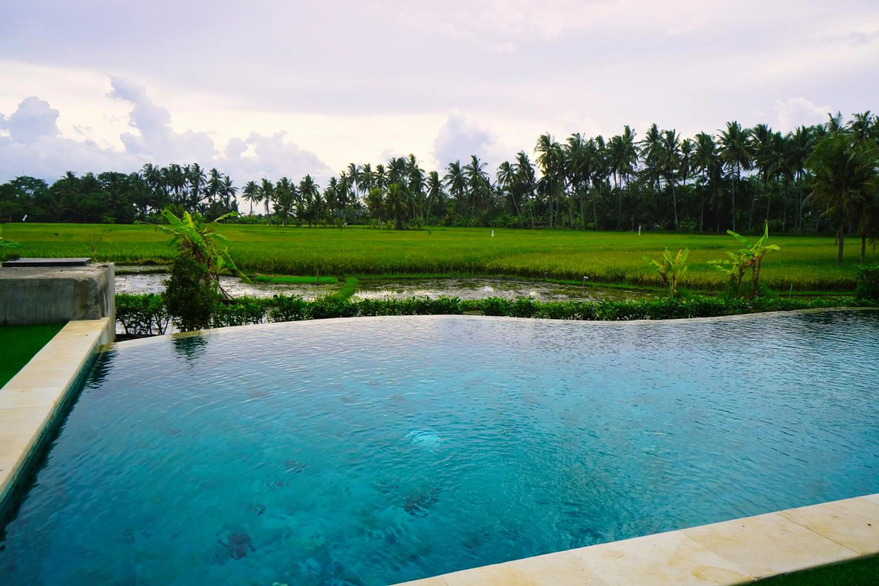 Natural landscape in Adil Villa & Resort