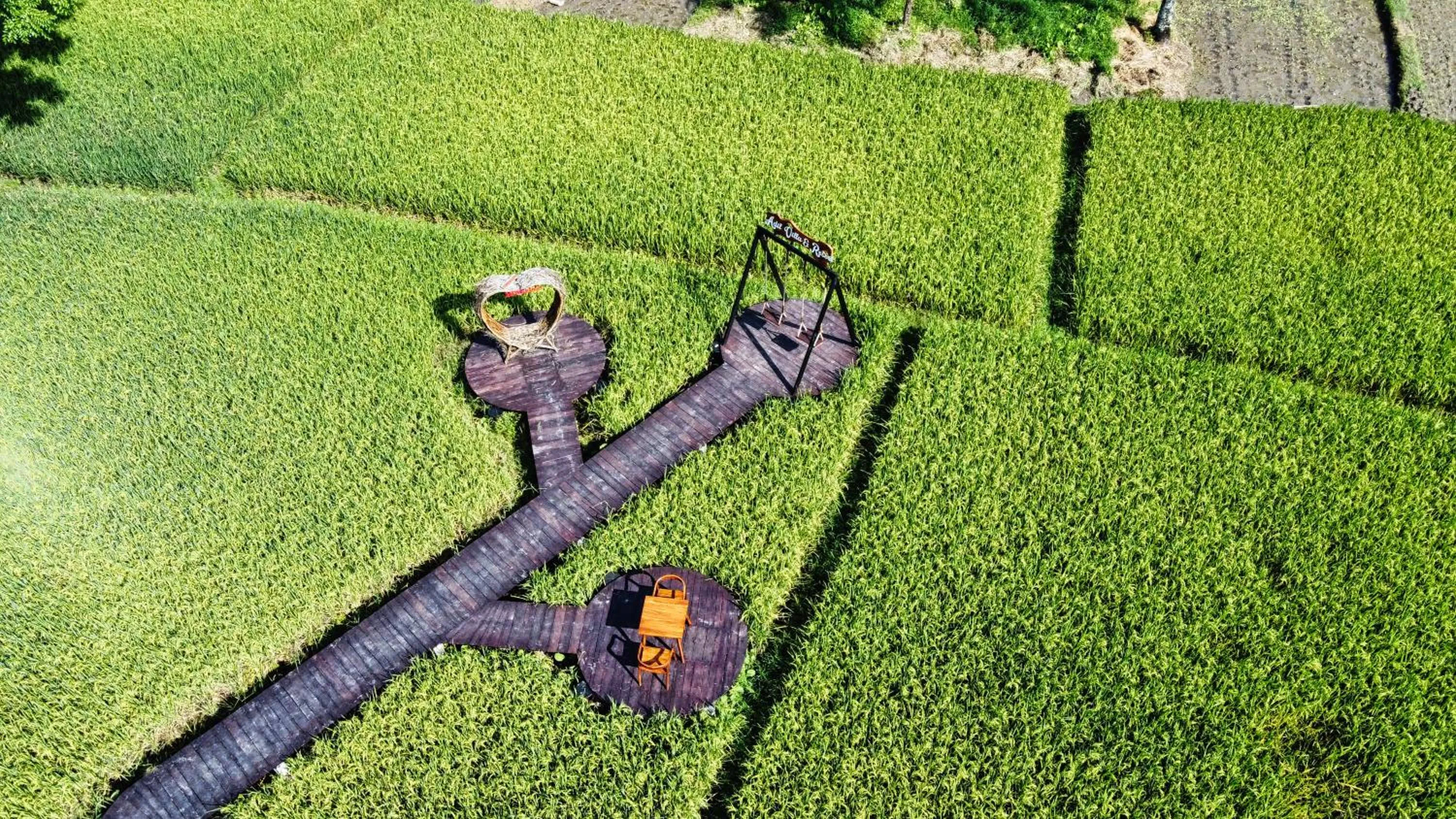 Area and facilities in Adil Villa & Resort