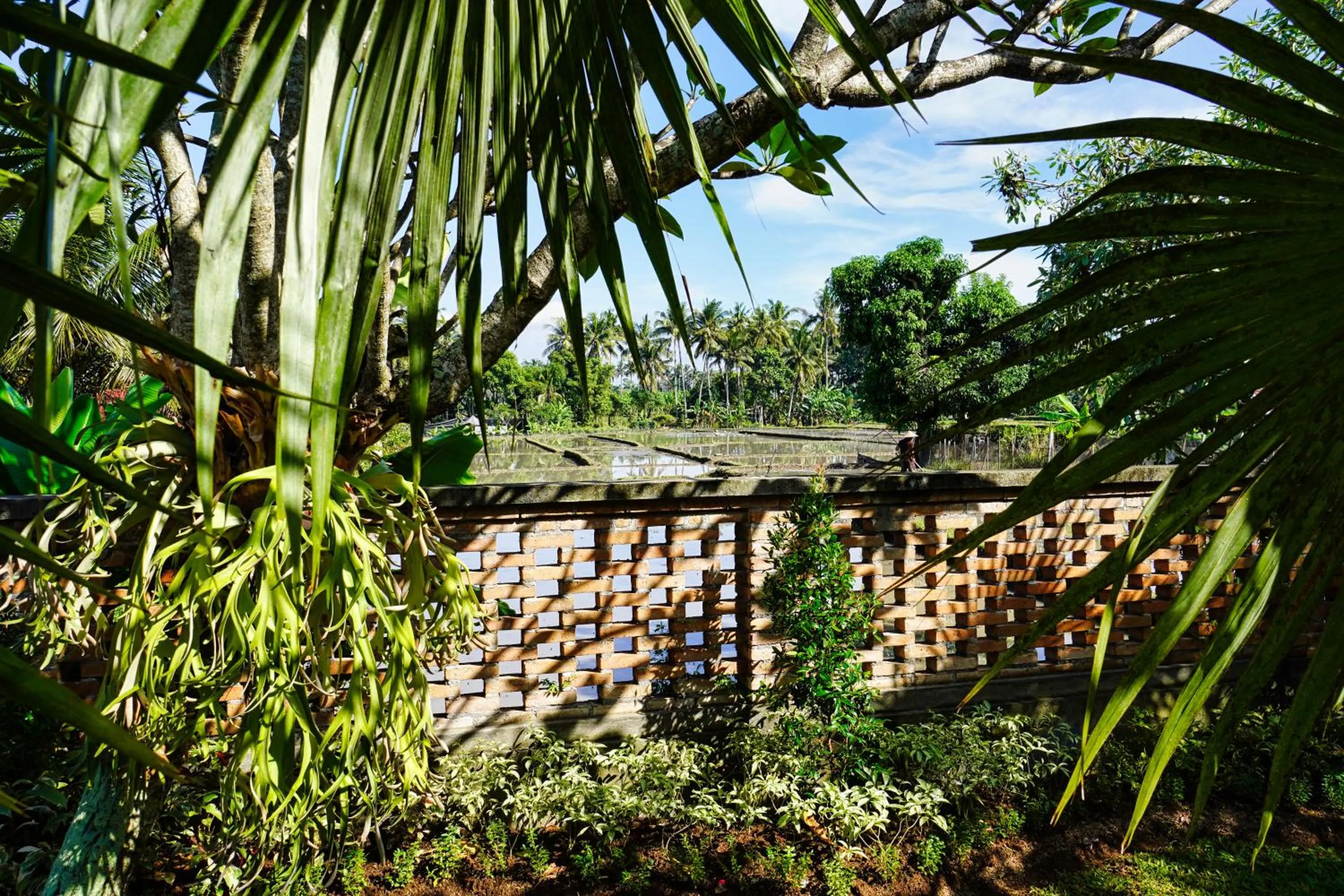 Natural landscape in Adil Villa & Resort