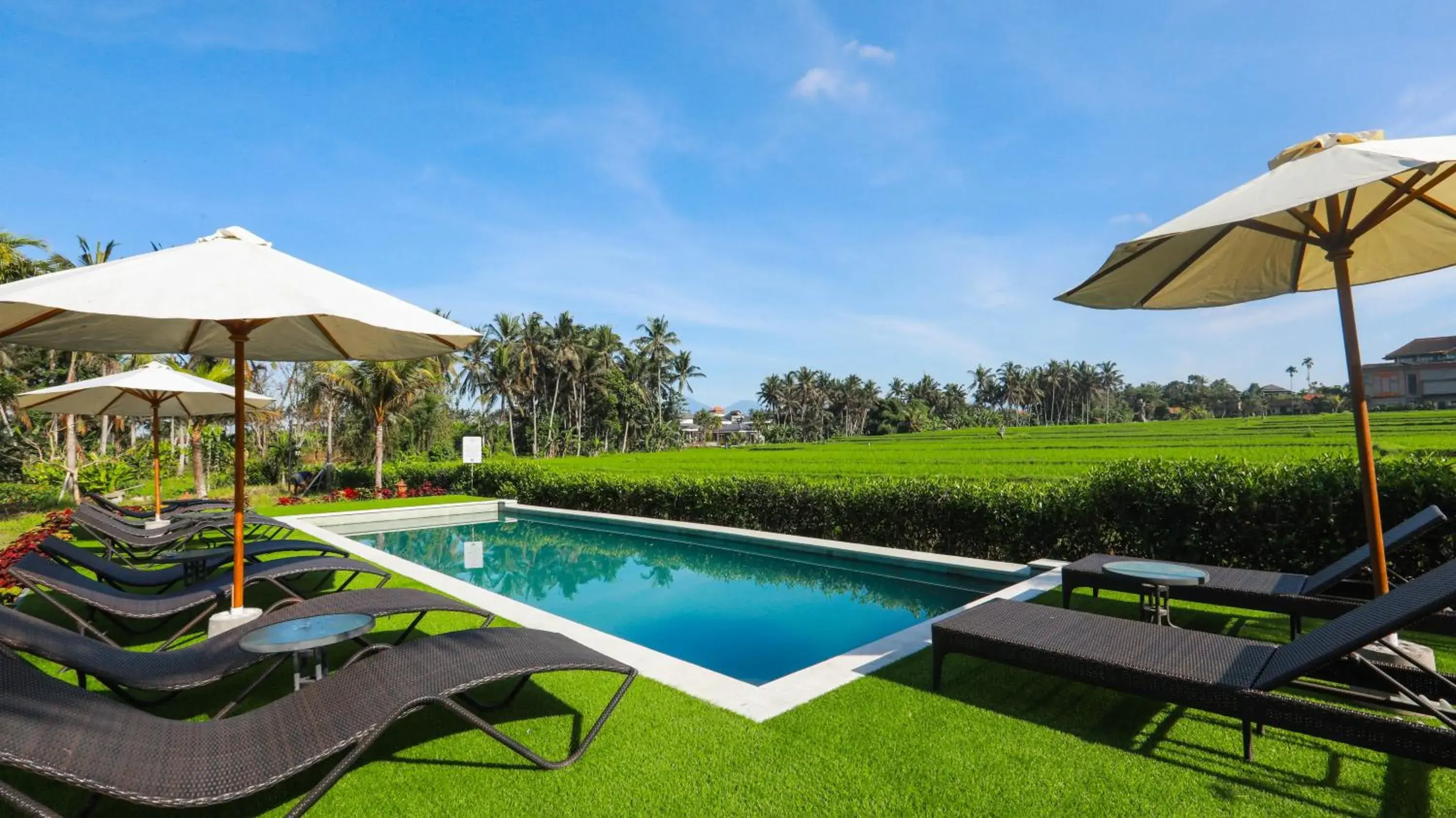 Pool view in Adil Villa & Resort Pool view in Adil Villa & Resort