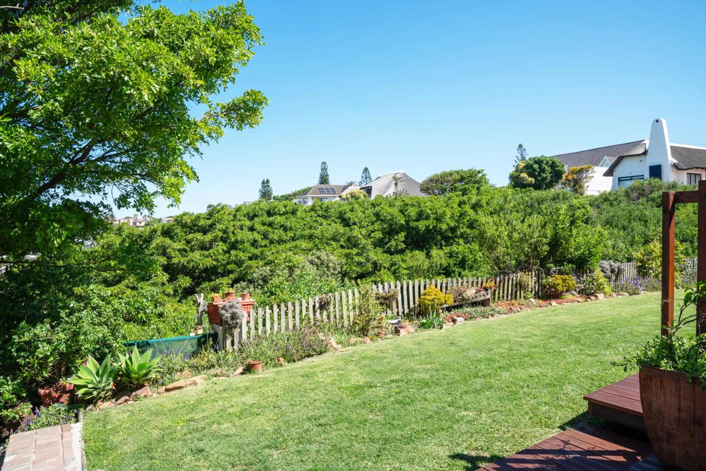 Garden in Cycads on Sea Guest House