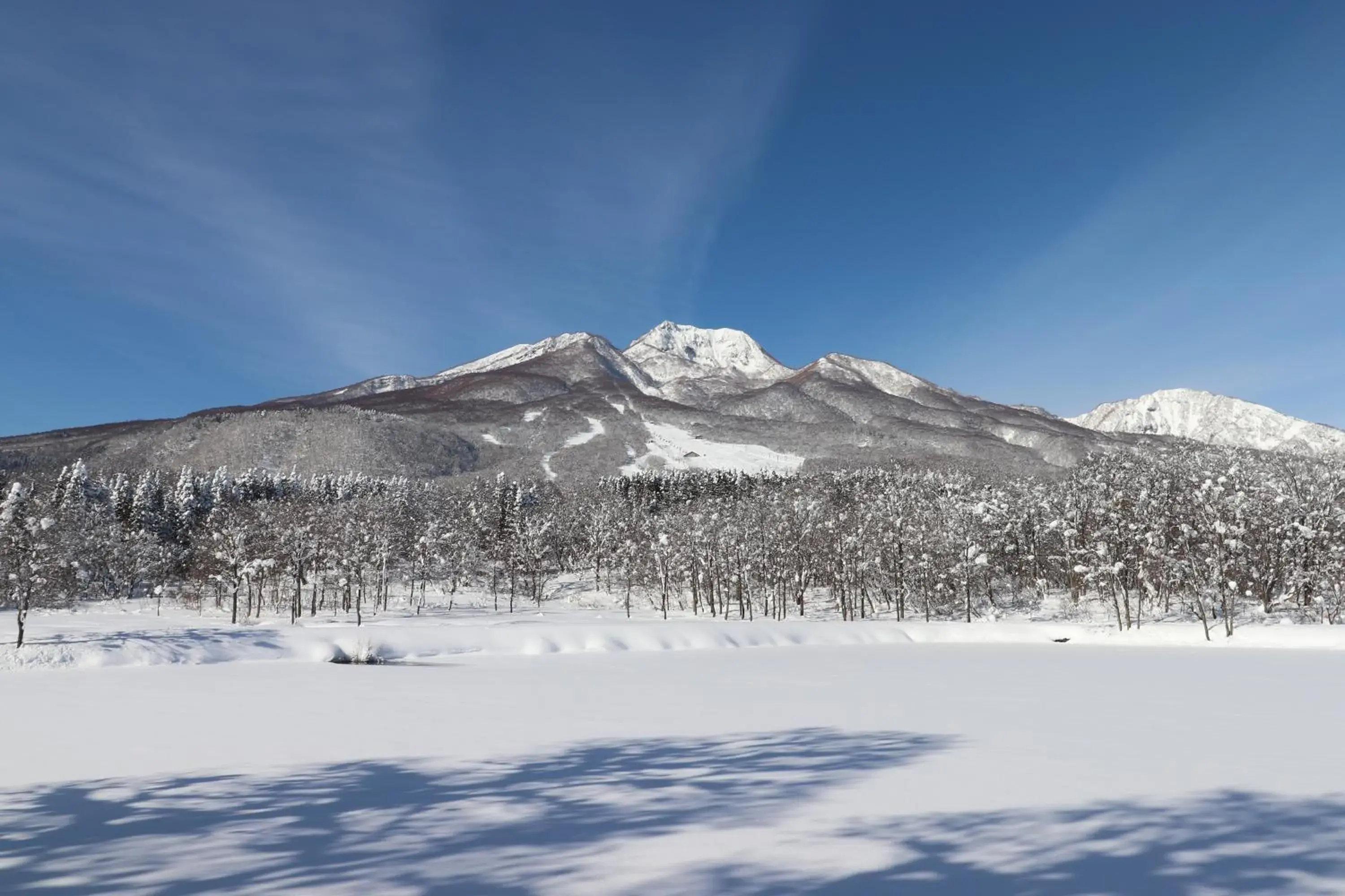 Winter in Lime Resort Myoko