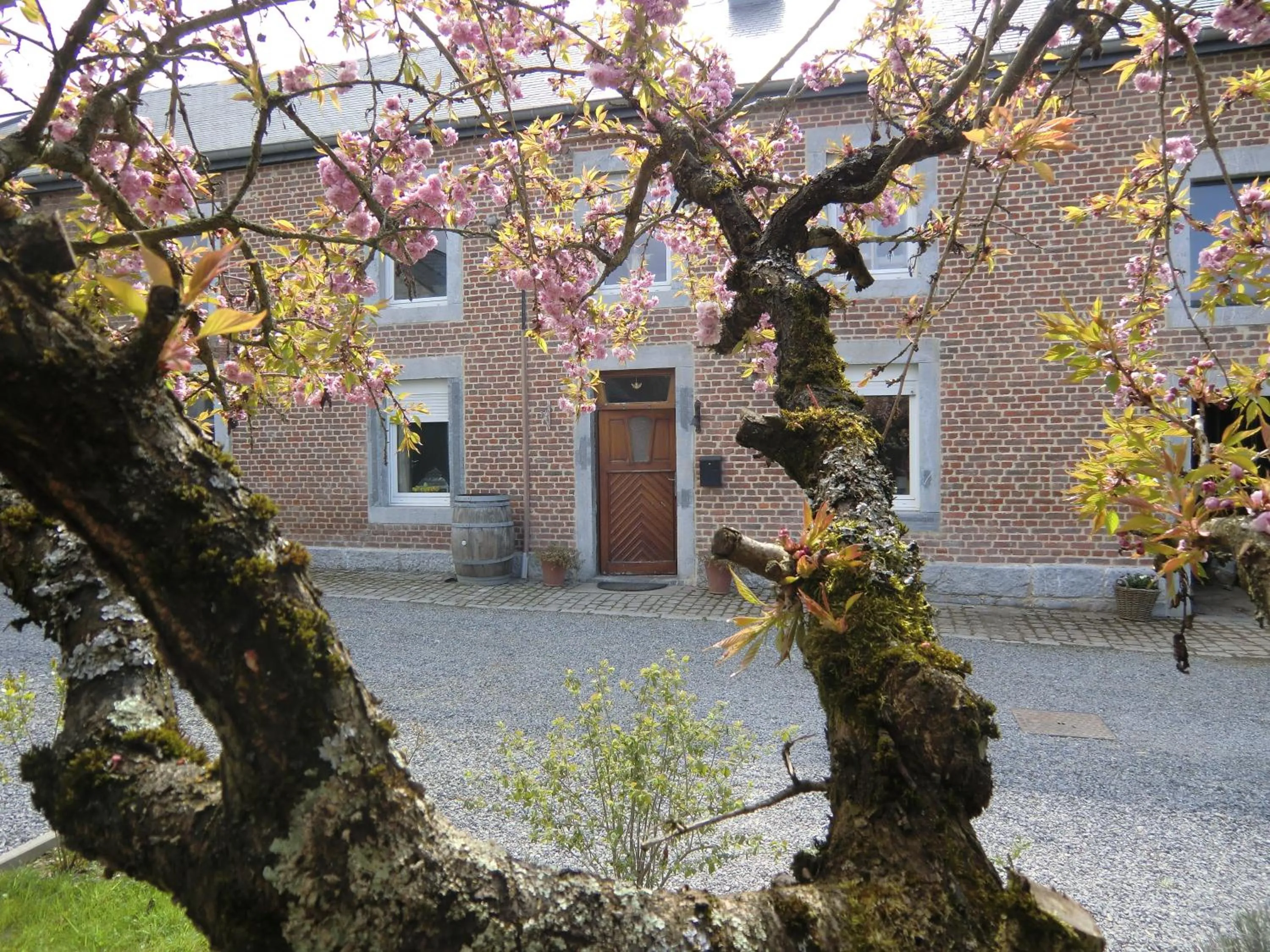 Facade/entrance in B&B Au Coeur de Villers