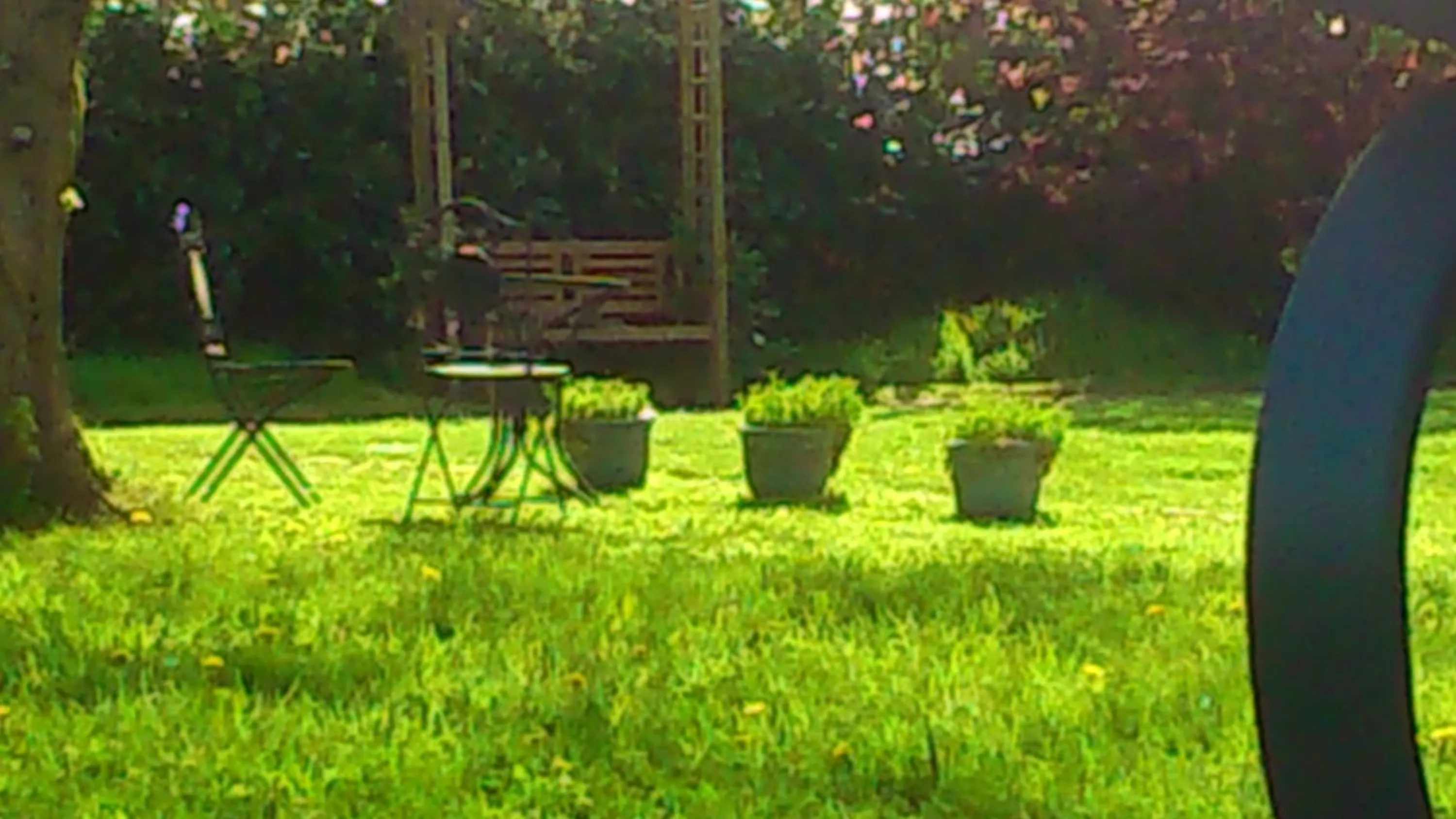 Garden in B&B Au Coeur de Villers