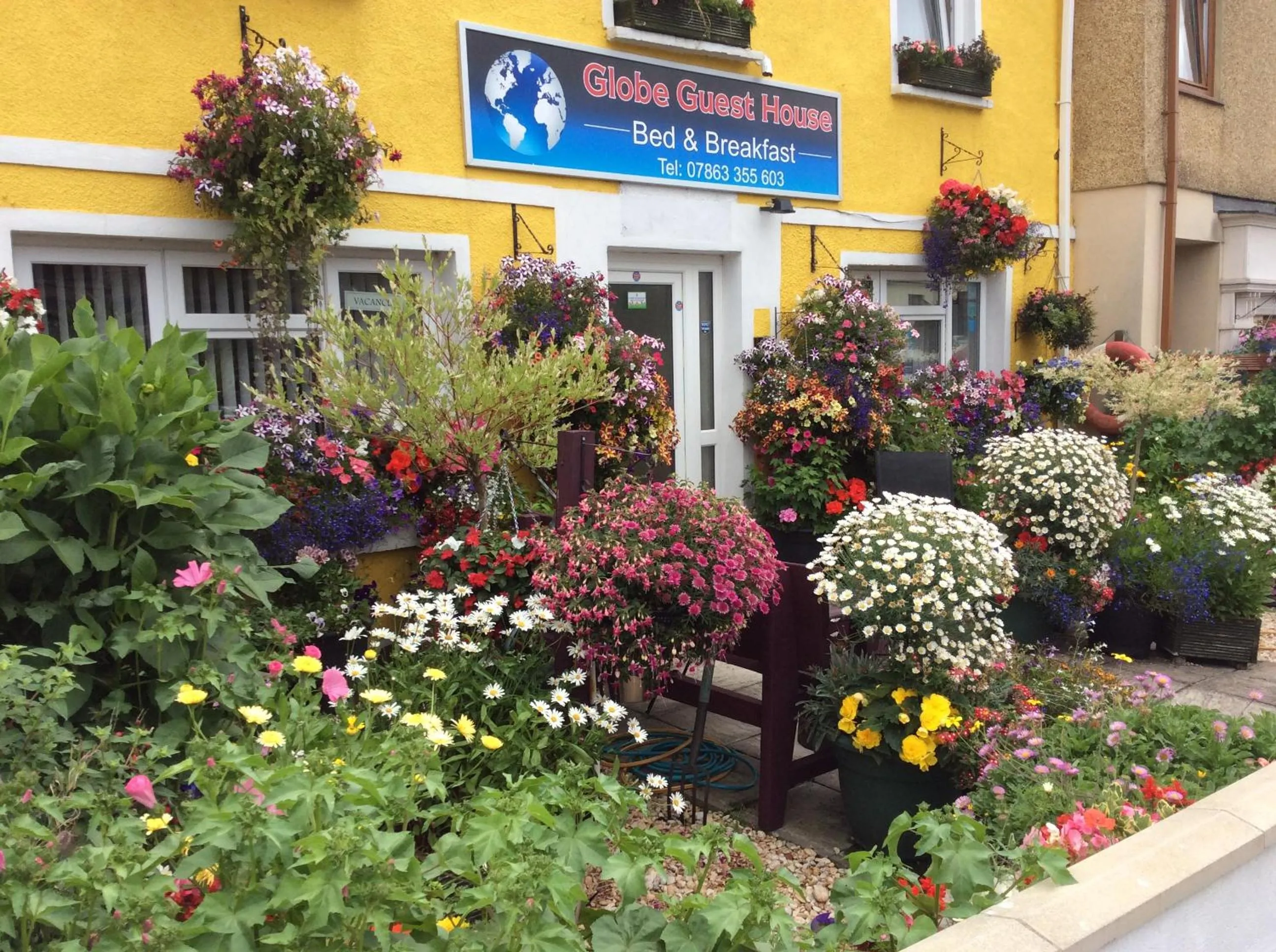 Globe Guesthouse