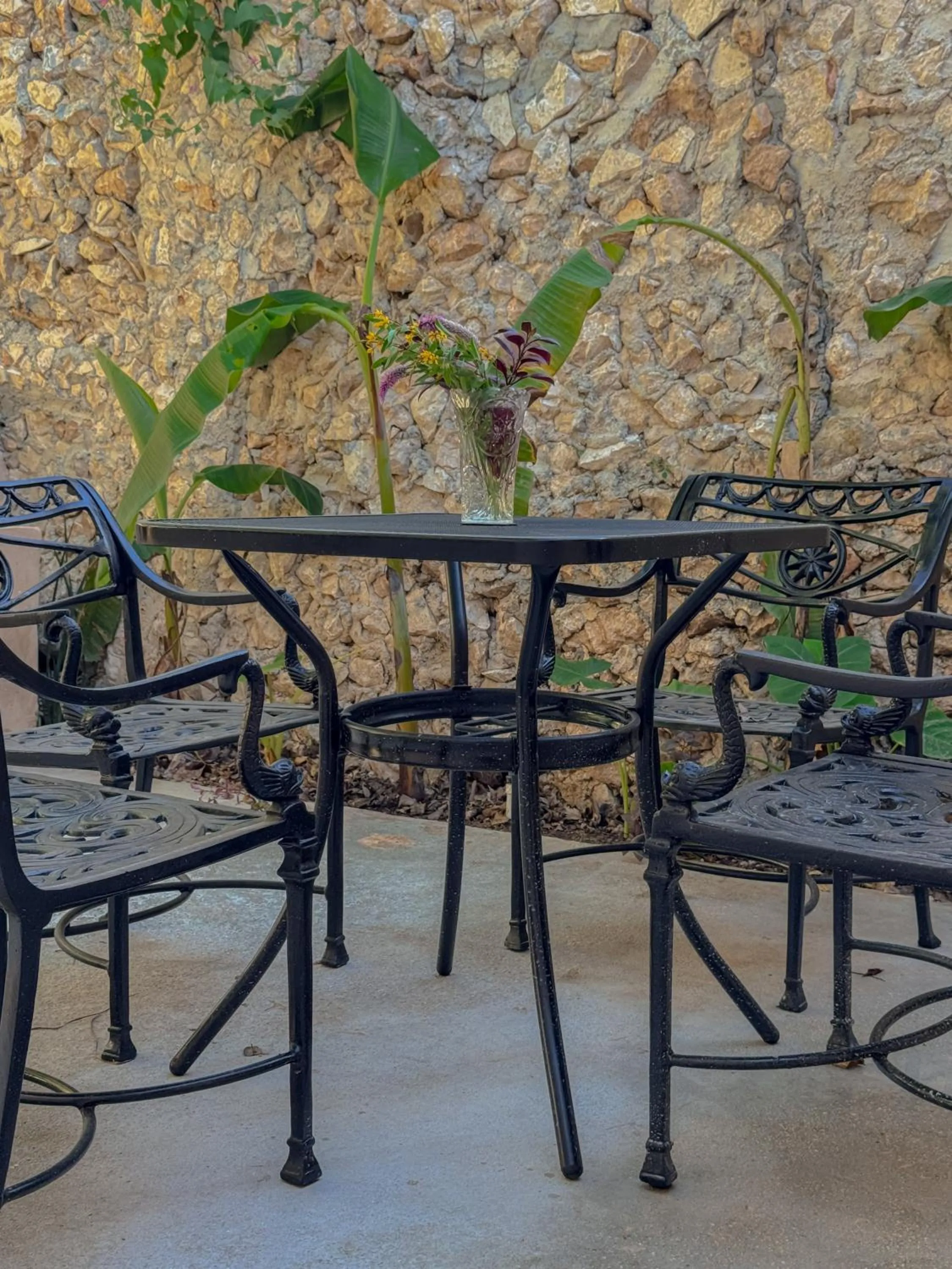 Hacienda Cenote San Ignacio