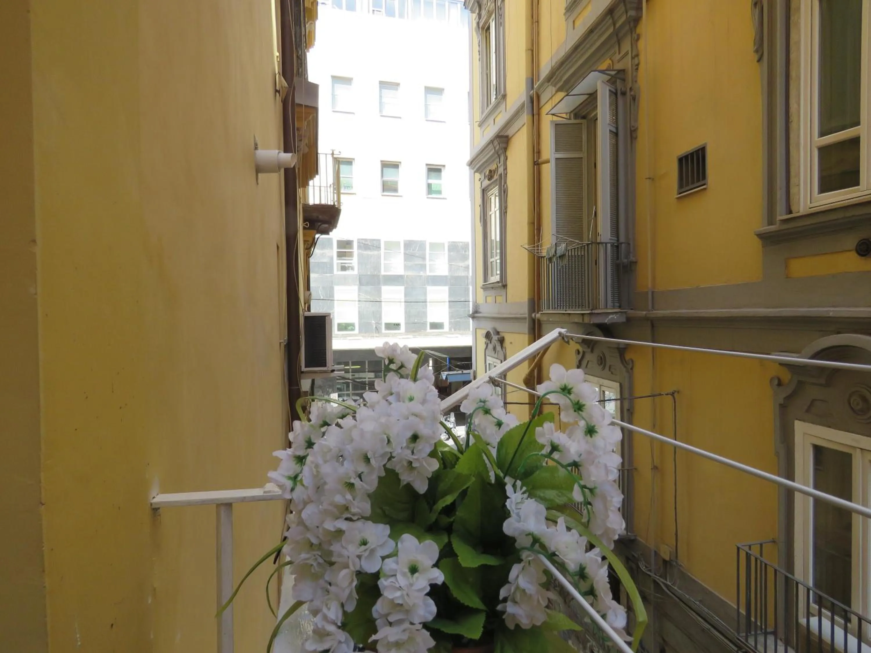 City view in Olimpo degli Dei