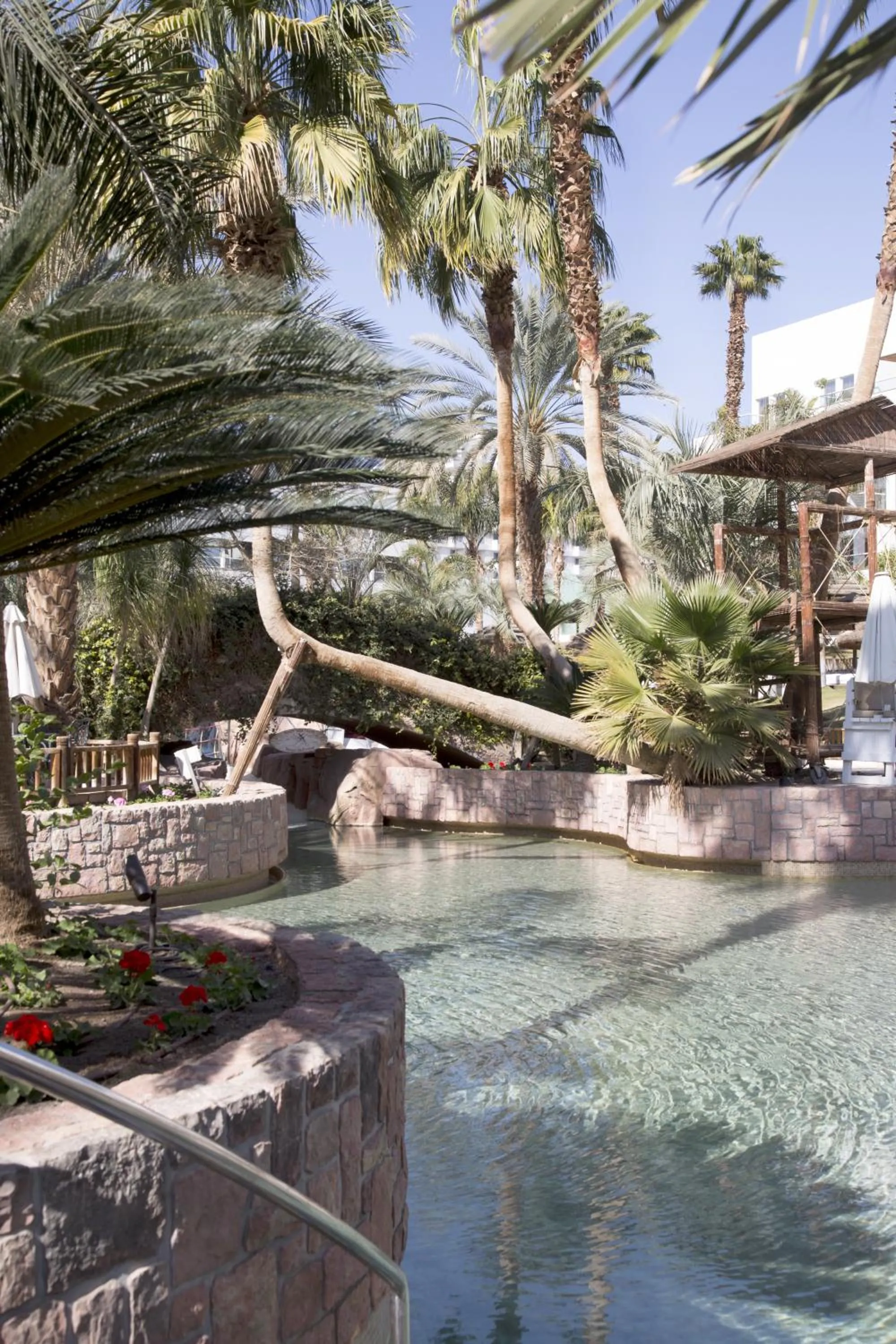 Swimming pool in Royal Garden by Isrotel Collection