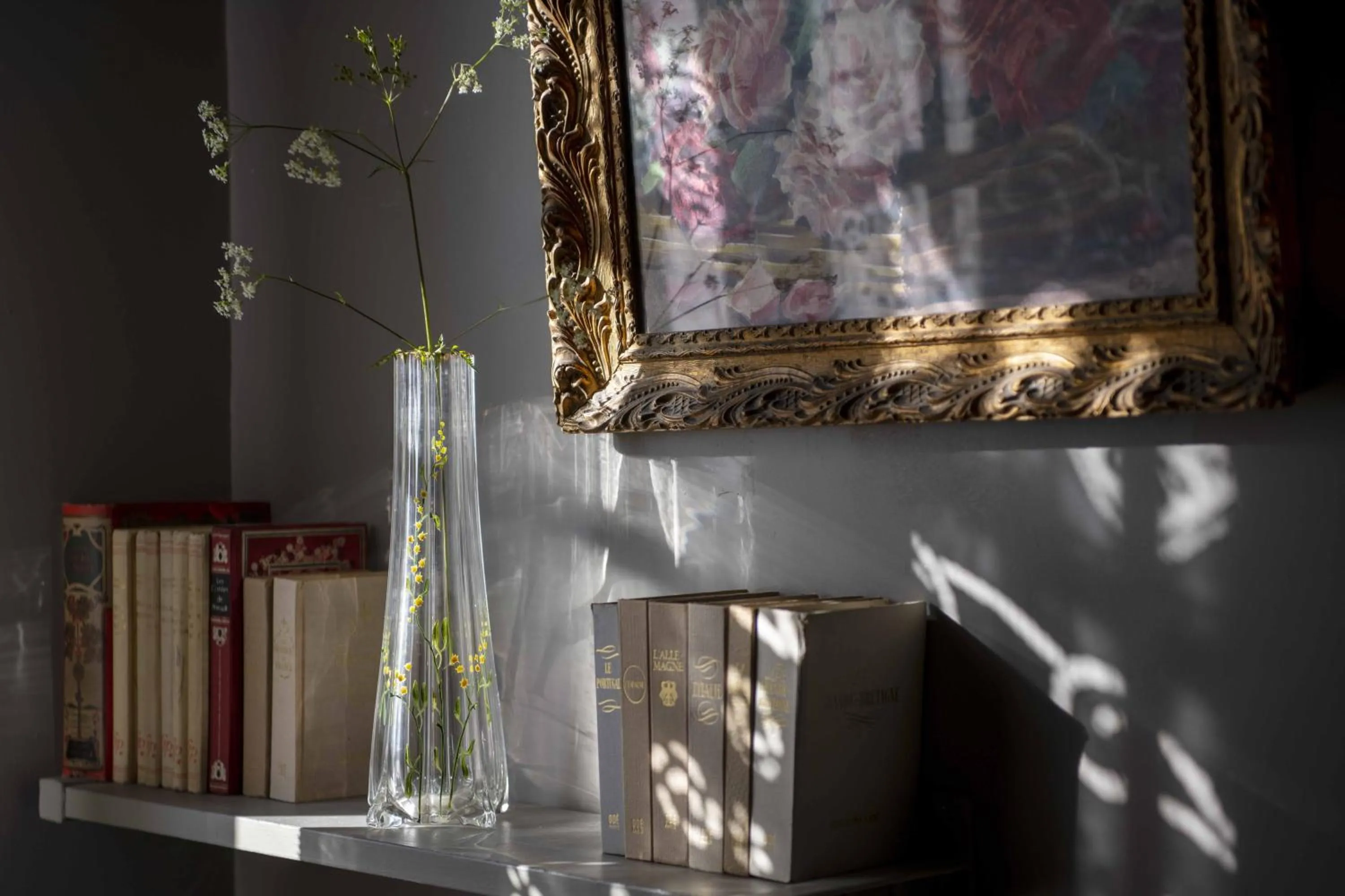 Maison d'Hôtes La Singulière