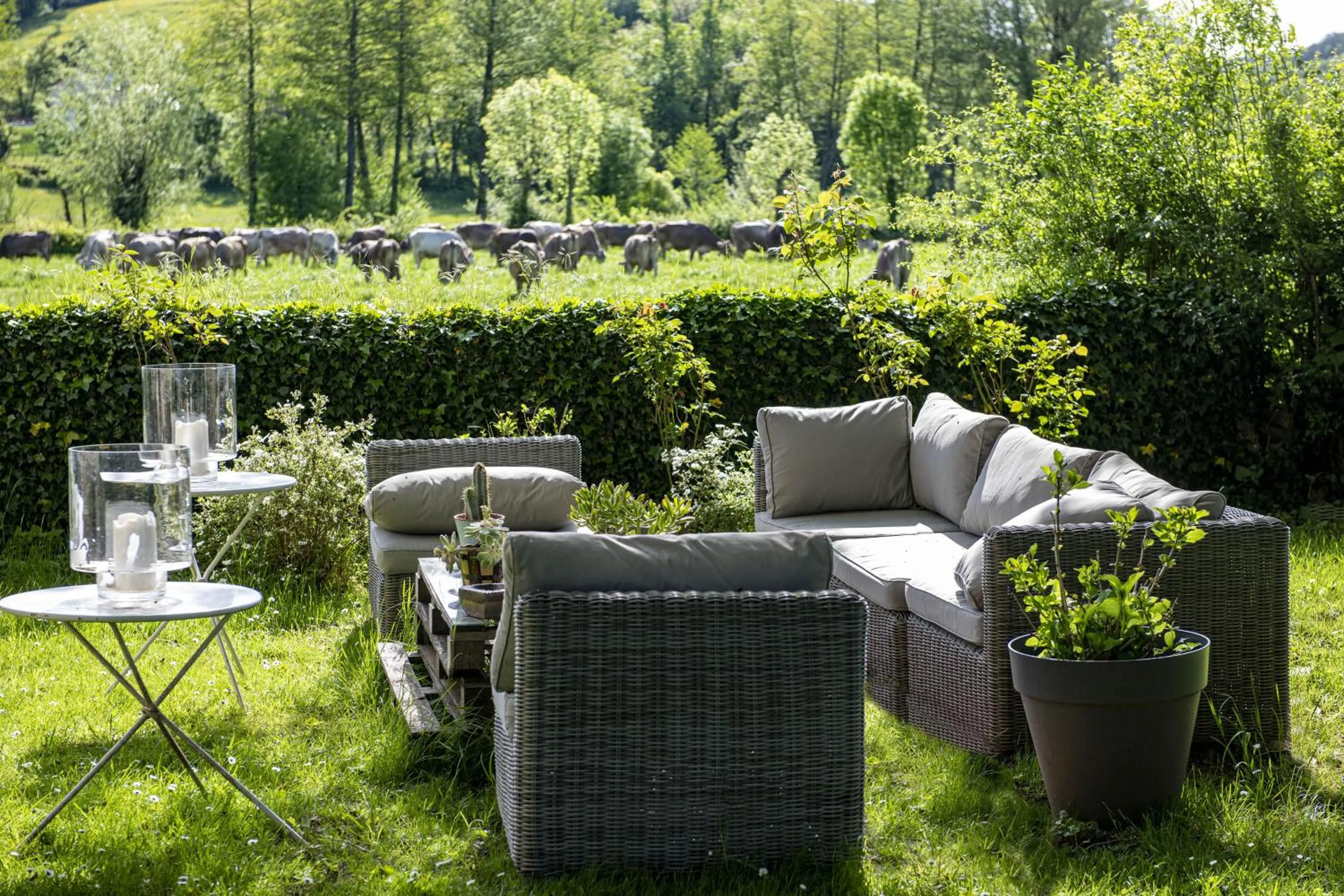 Garden in Maison d'Hôtes La Singulière