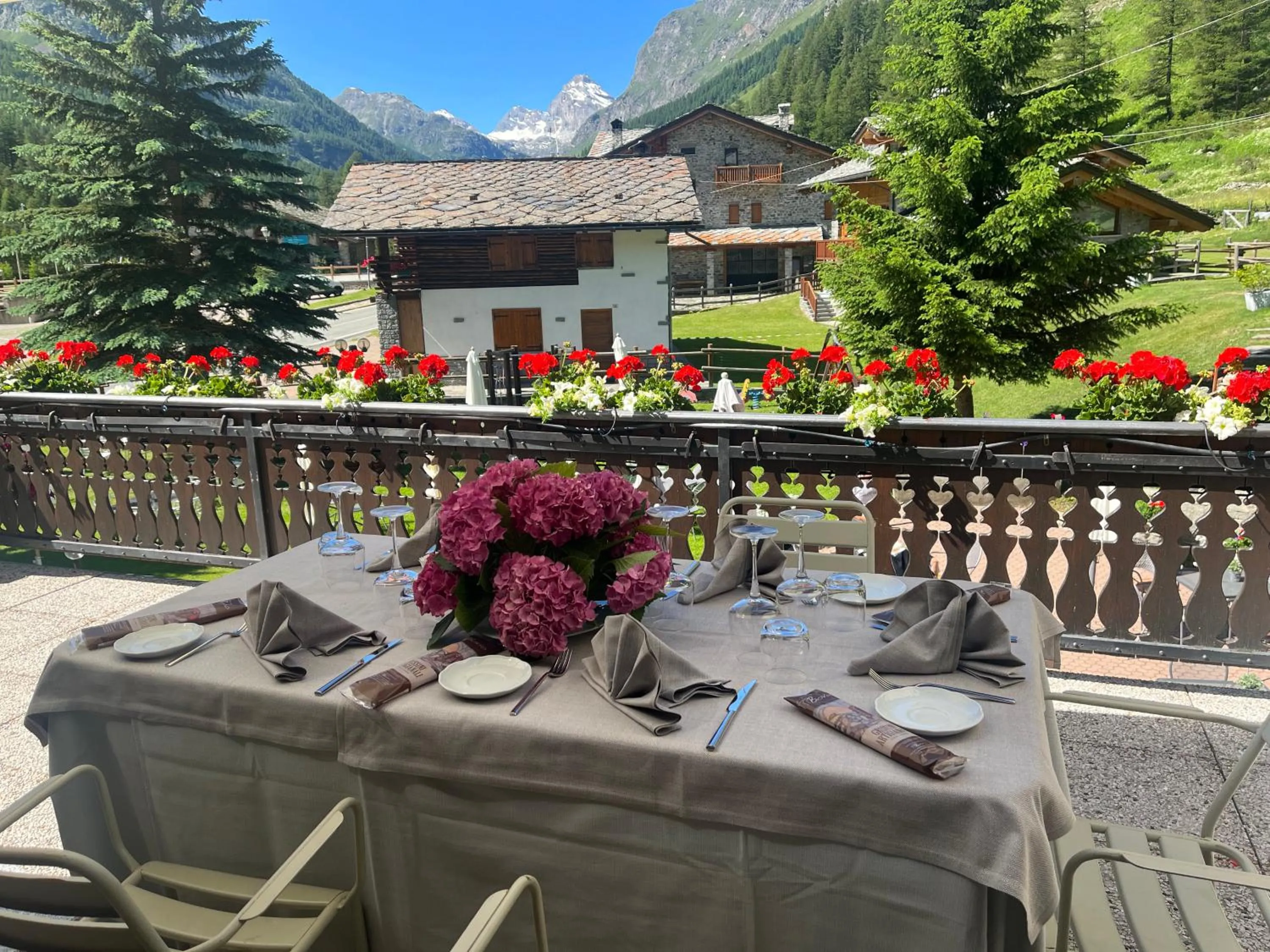 Balcony/Terrace in Hotel Granta Parey