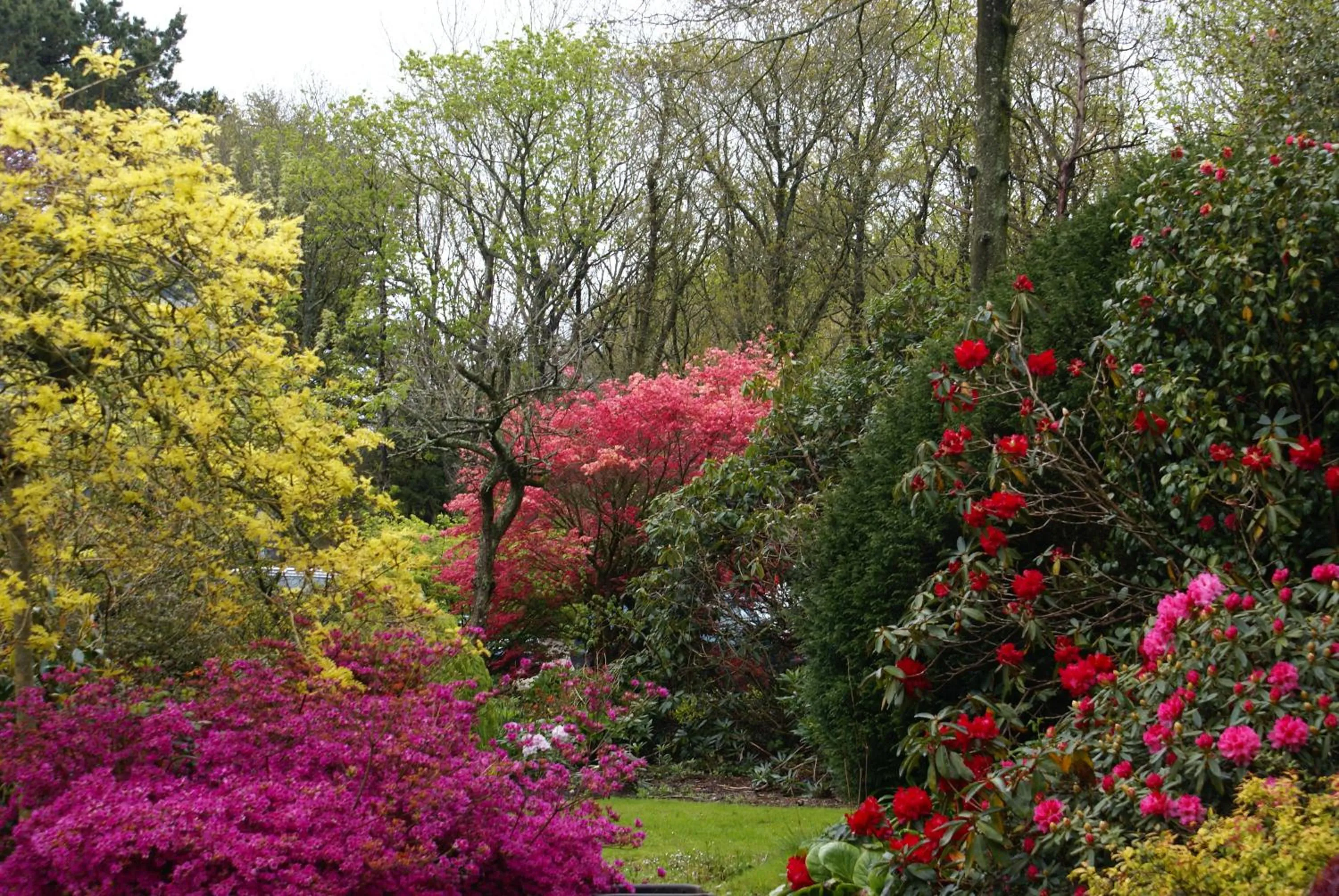 Garden view in La Canopée des Pins