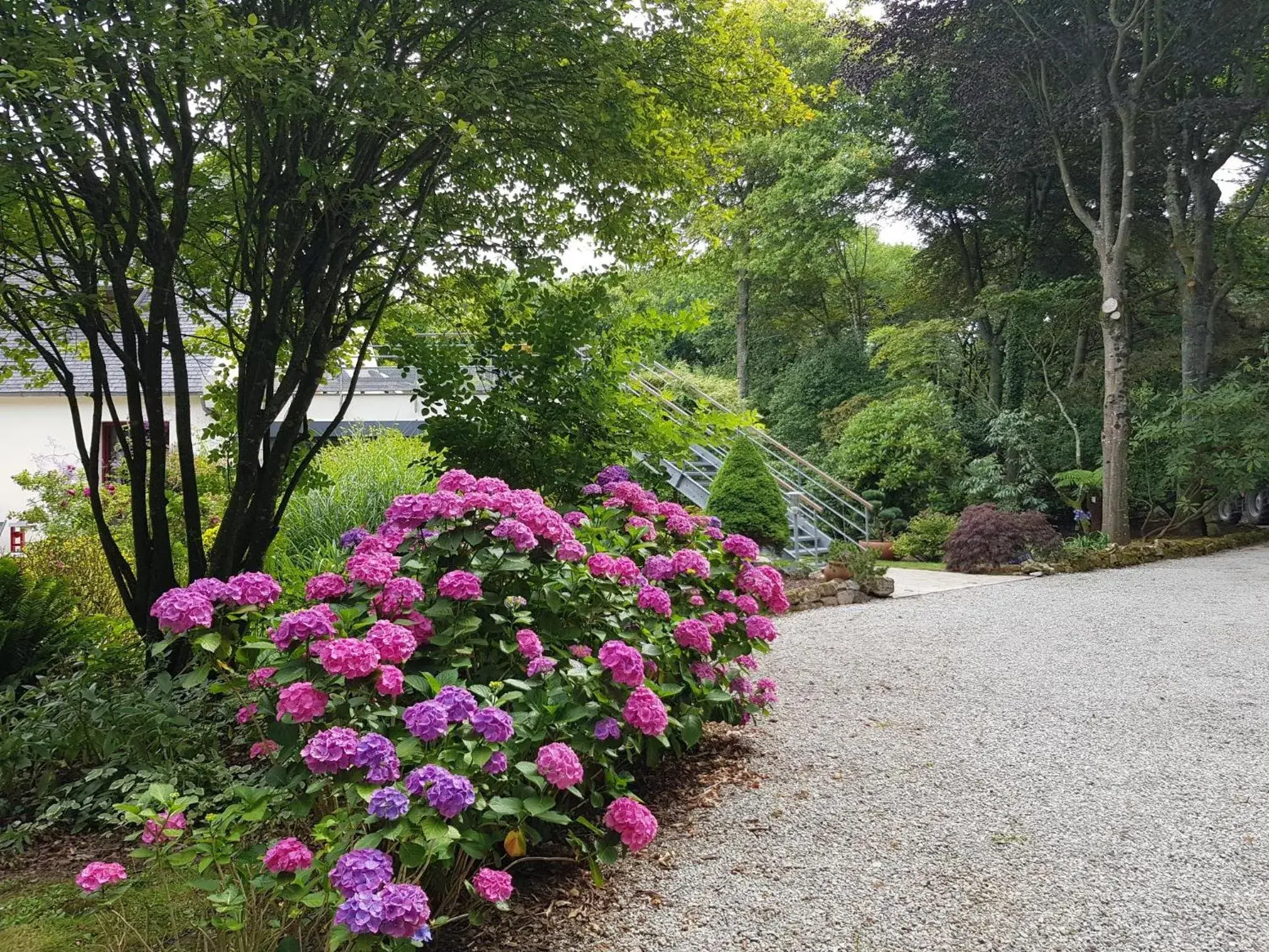 La Canopée des Pins La Canopée des Pins