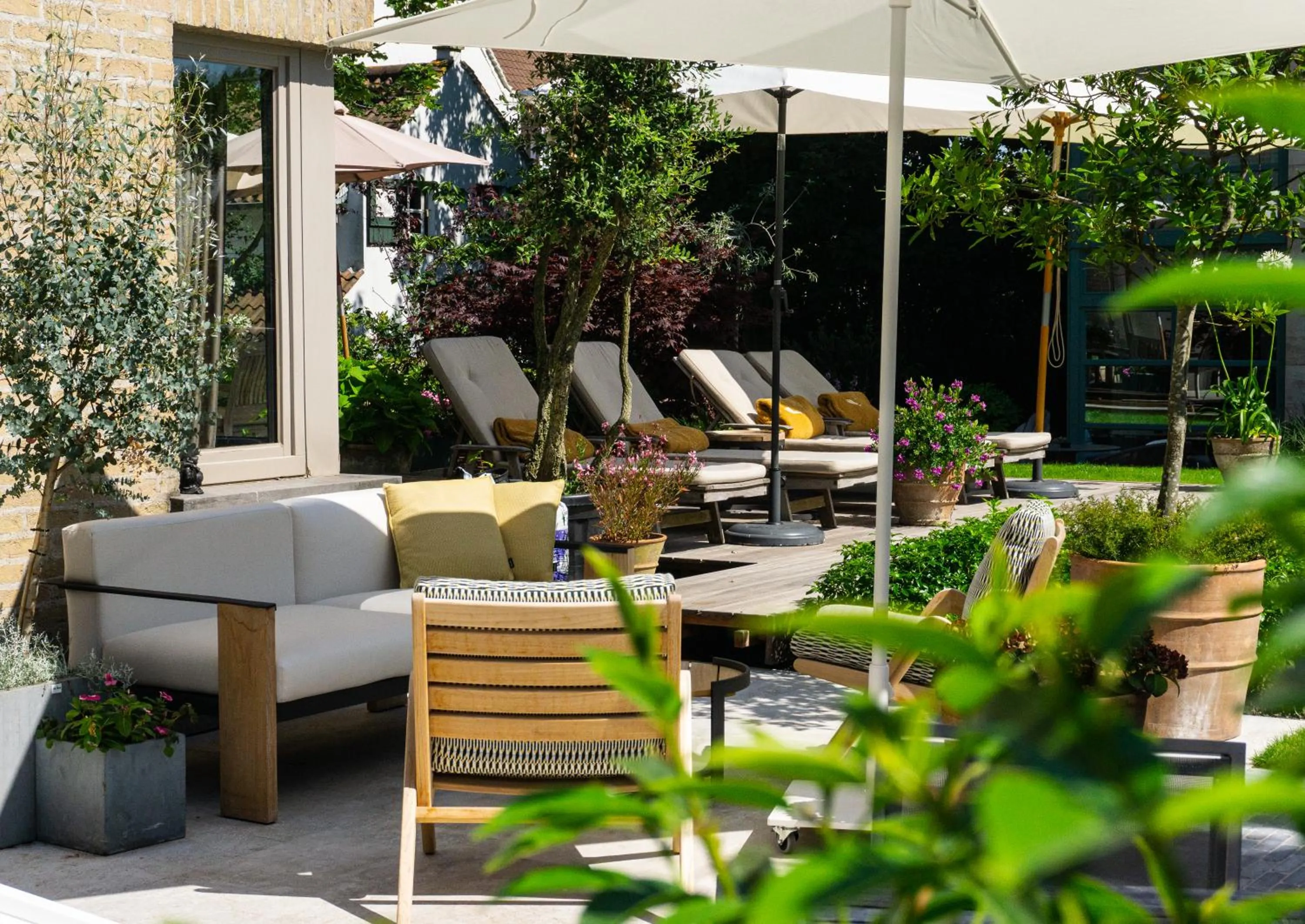 Garden in Hotel Iris