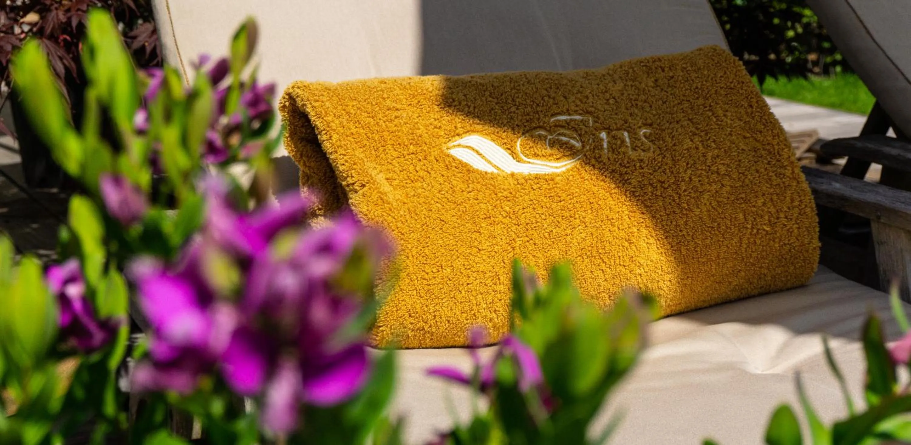 Garden in Hotel Iris