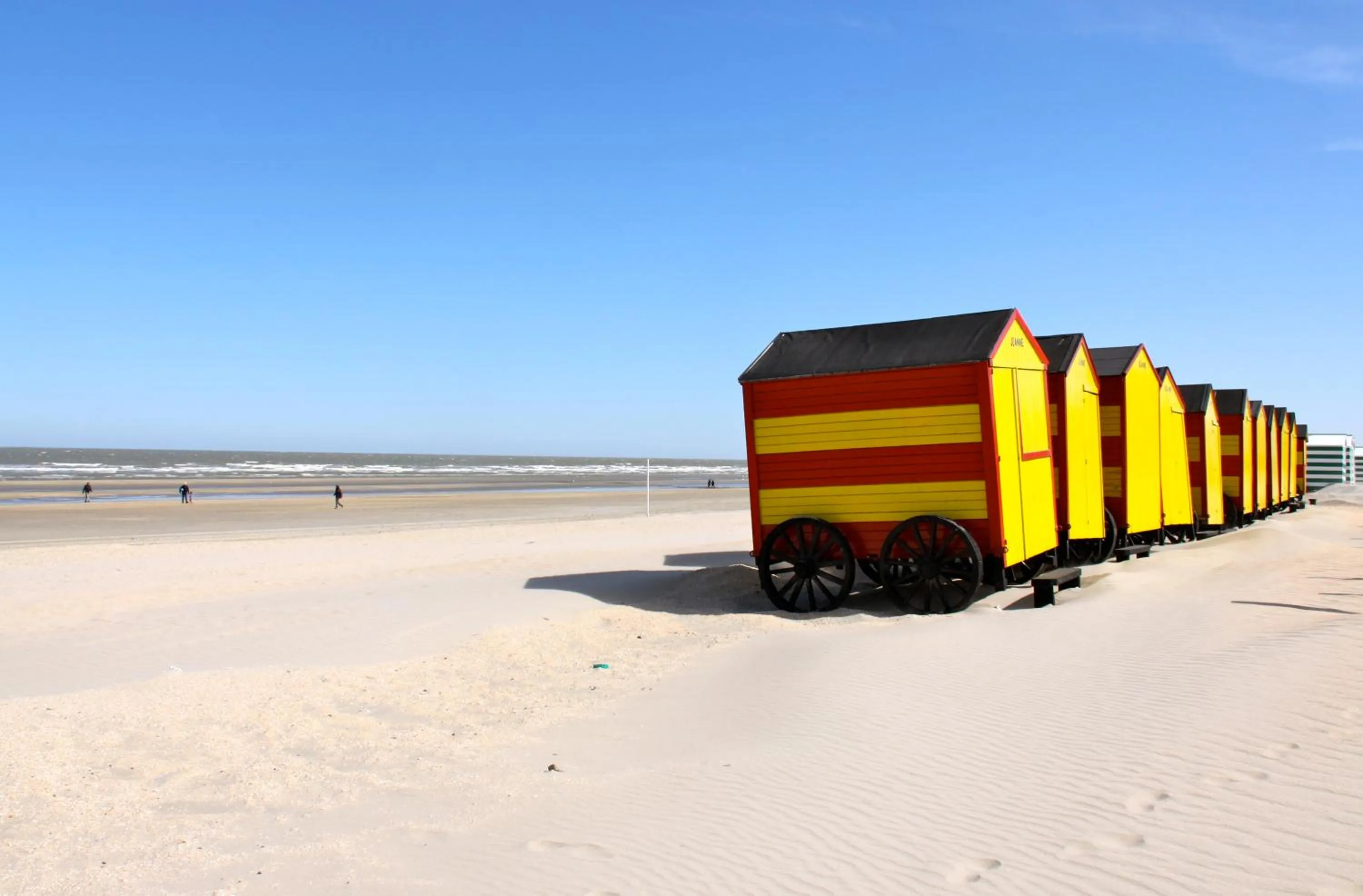 Area and facilities in Hotel Iris