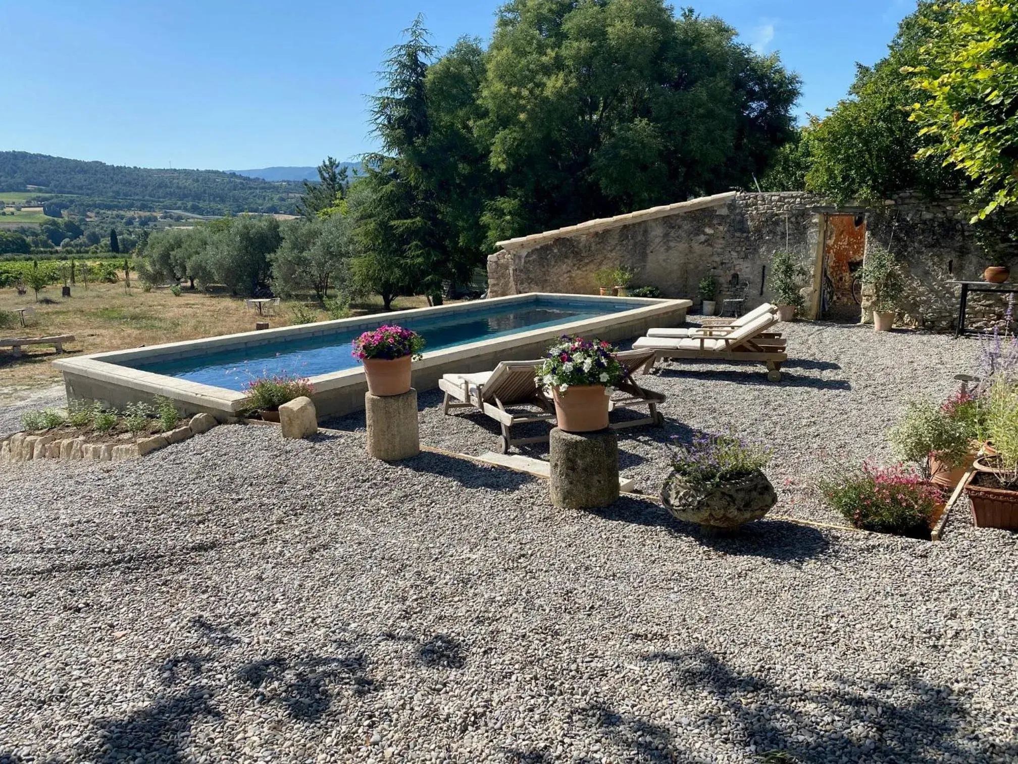 Le Domaine Saint Jean Le Domaine Saint Jean