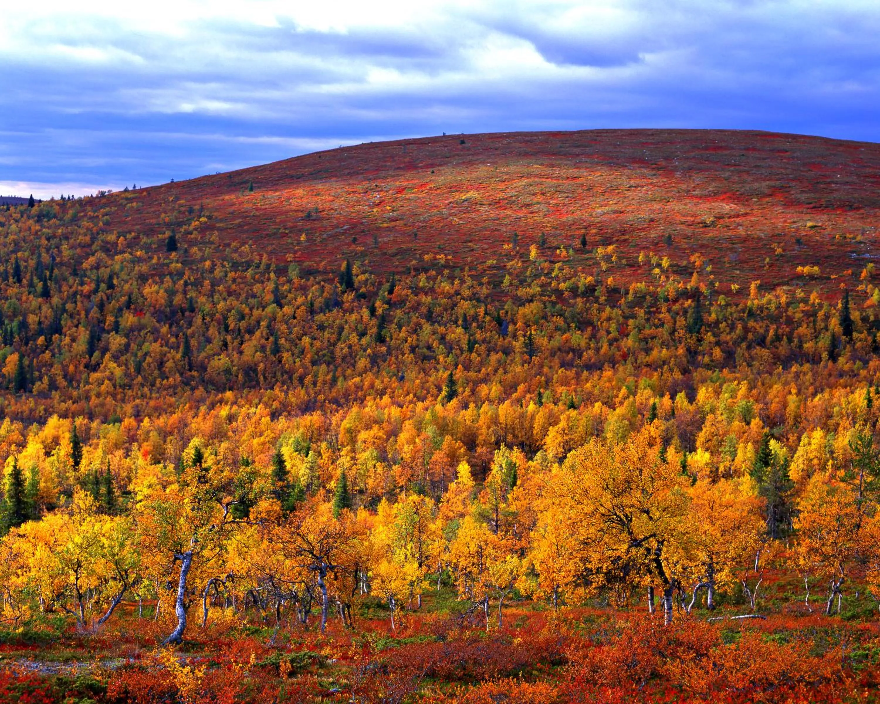 Natural landscape in Lapland Hotels Saaga