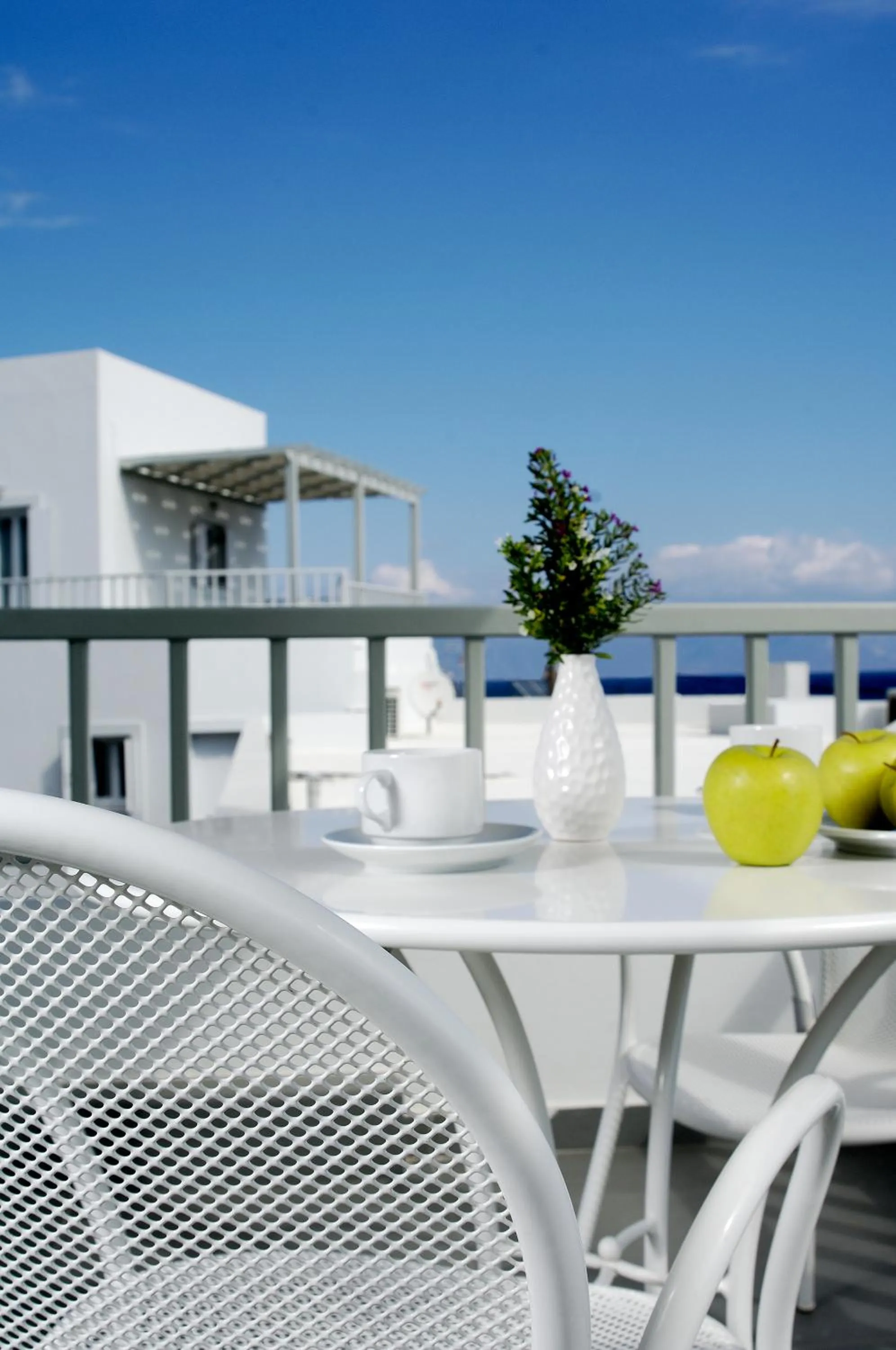 Balcony/Terrace in Filoxenia Apartments