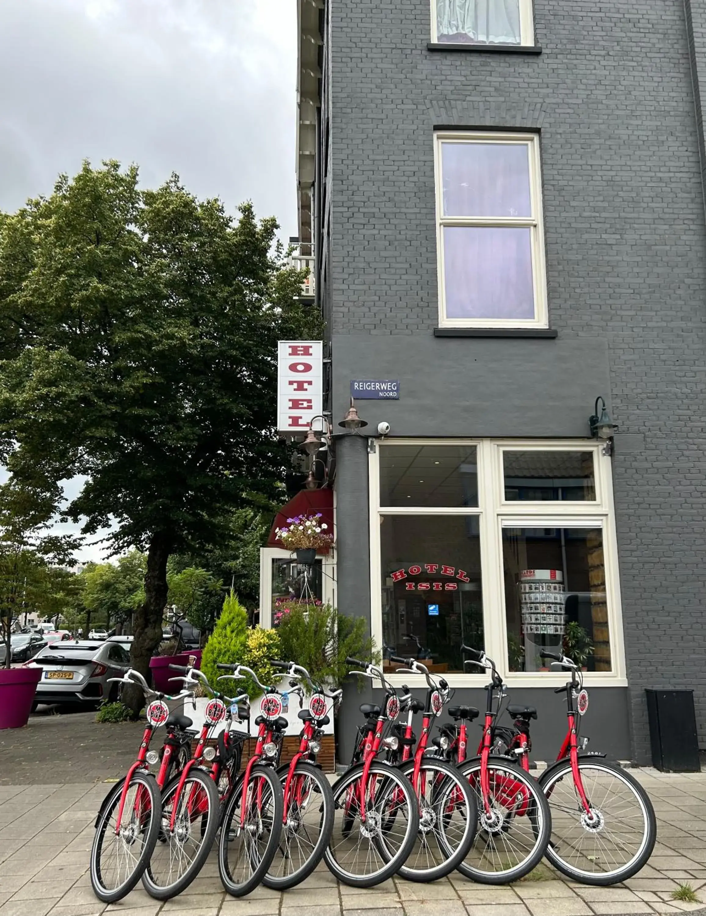 Property building in Hotel Isis Property building in Hotel Isis